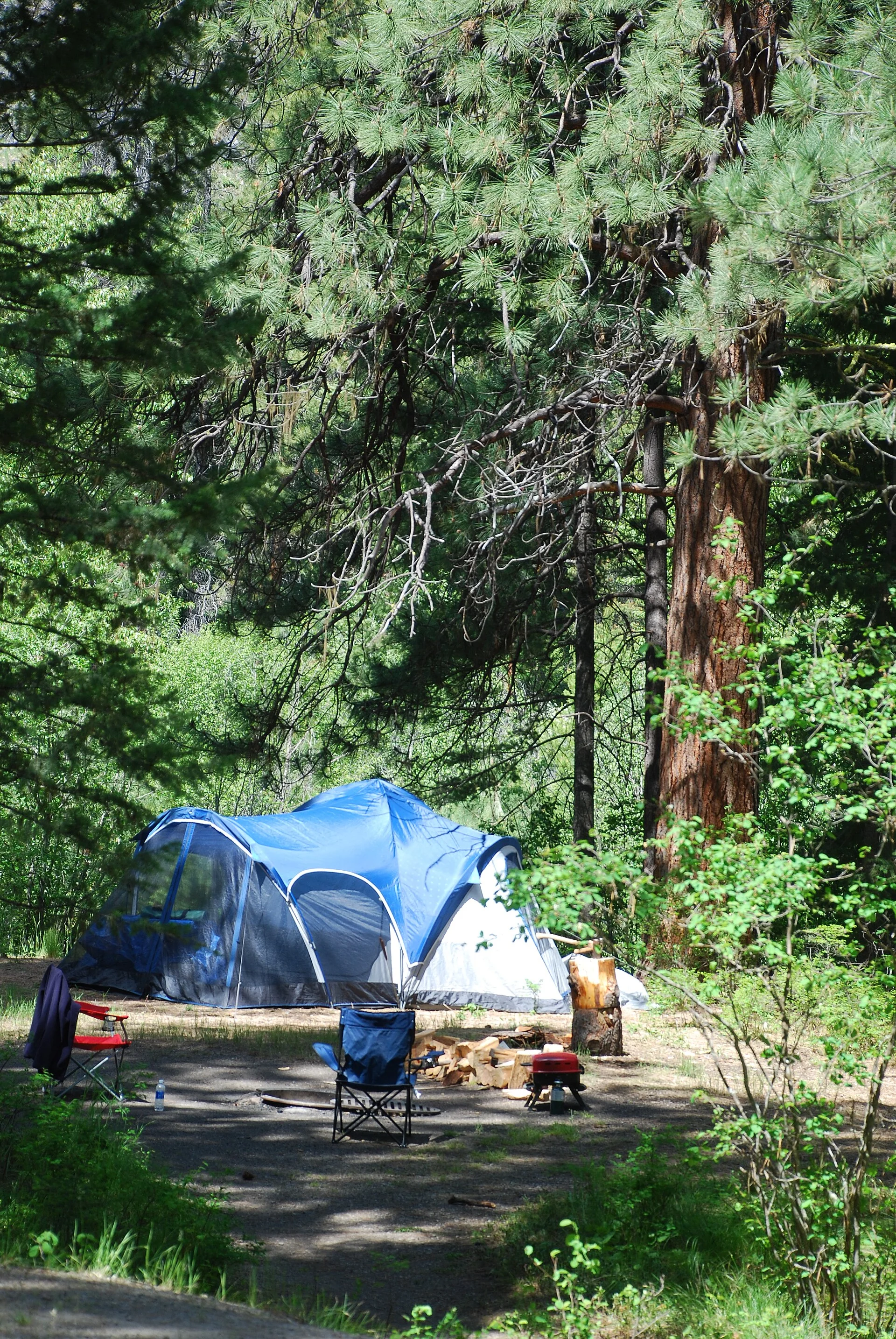 Alpicool vs Iceco 12V Fridge for Car Camping