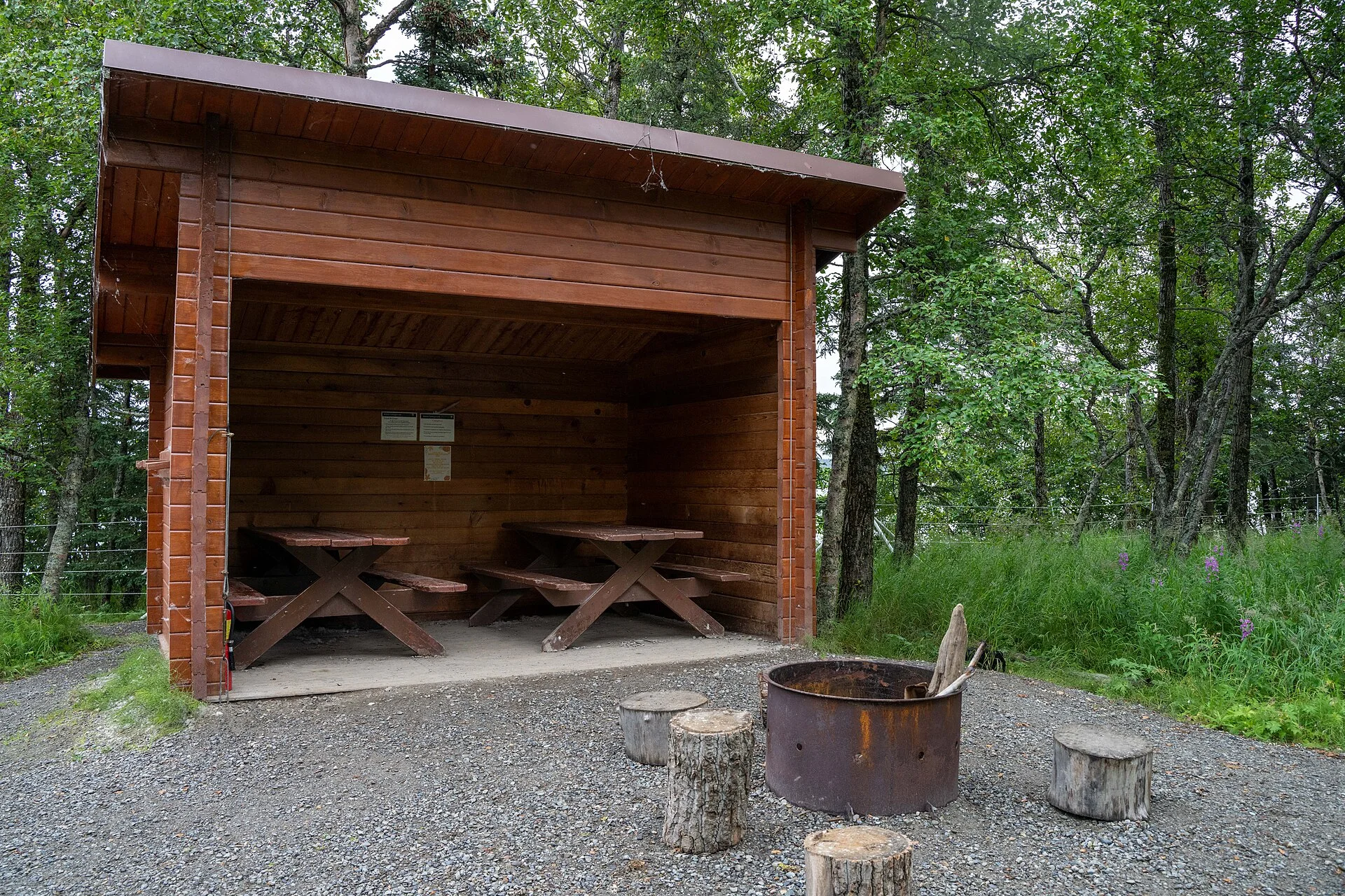 Beyond the Cooler: Advanced Food Storage and Cooking Solutions for Extended Car Camping Trips