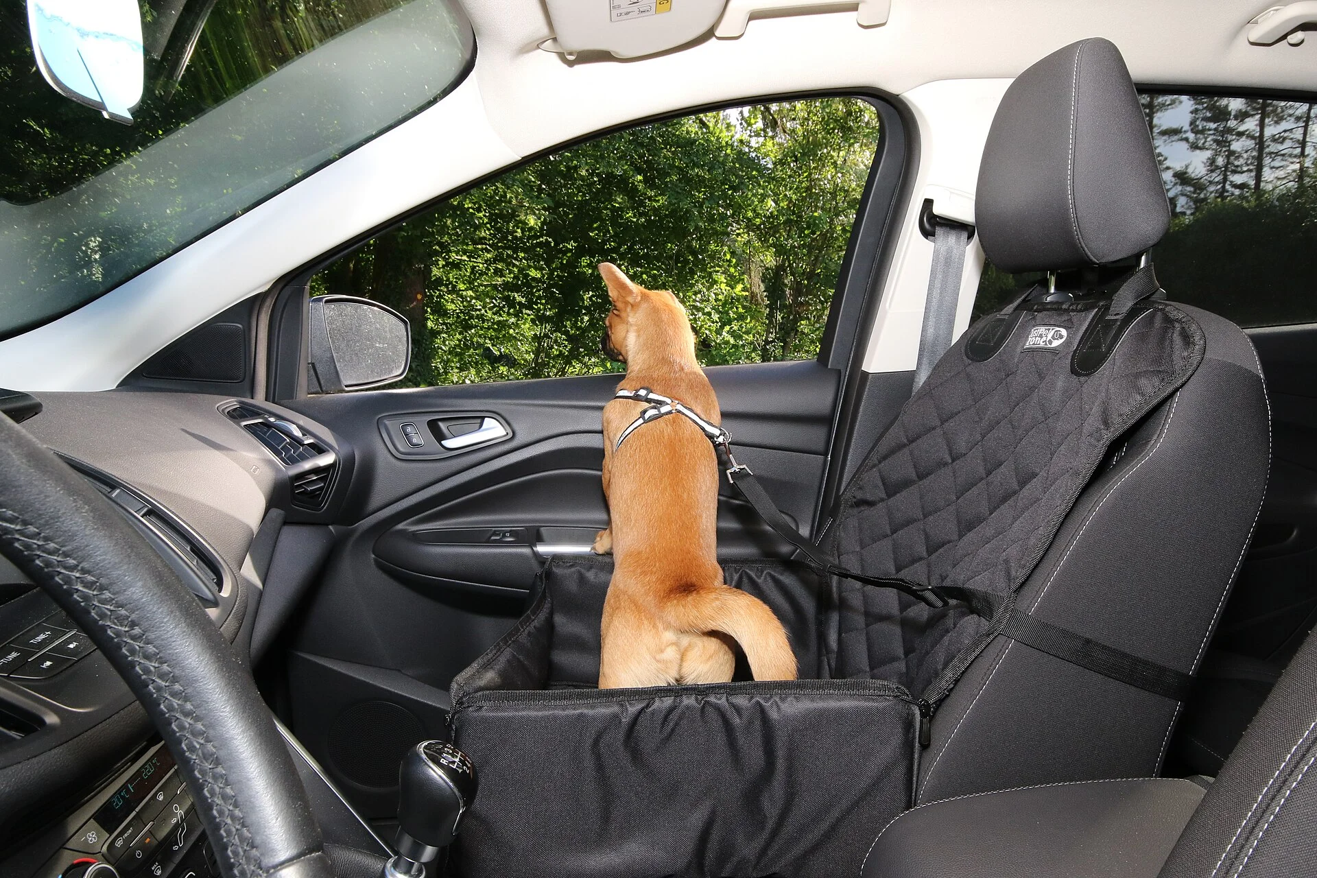 A small dog secured in a booster seat with a harness, the kind of restraint that actually holds in a hard stop