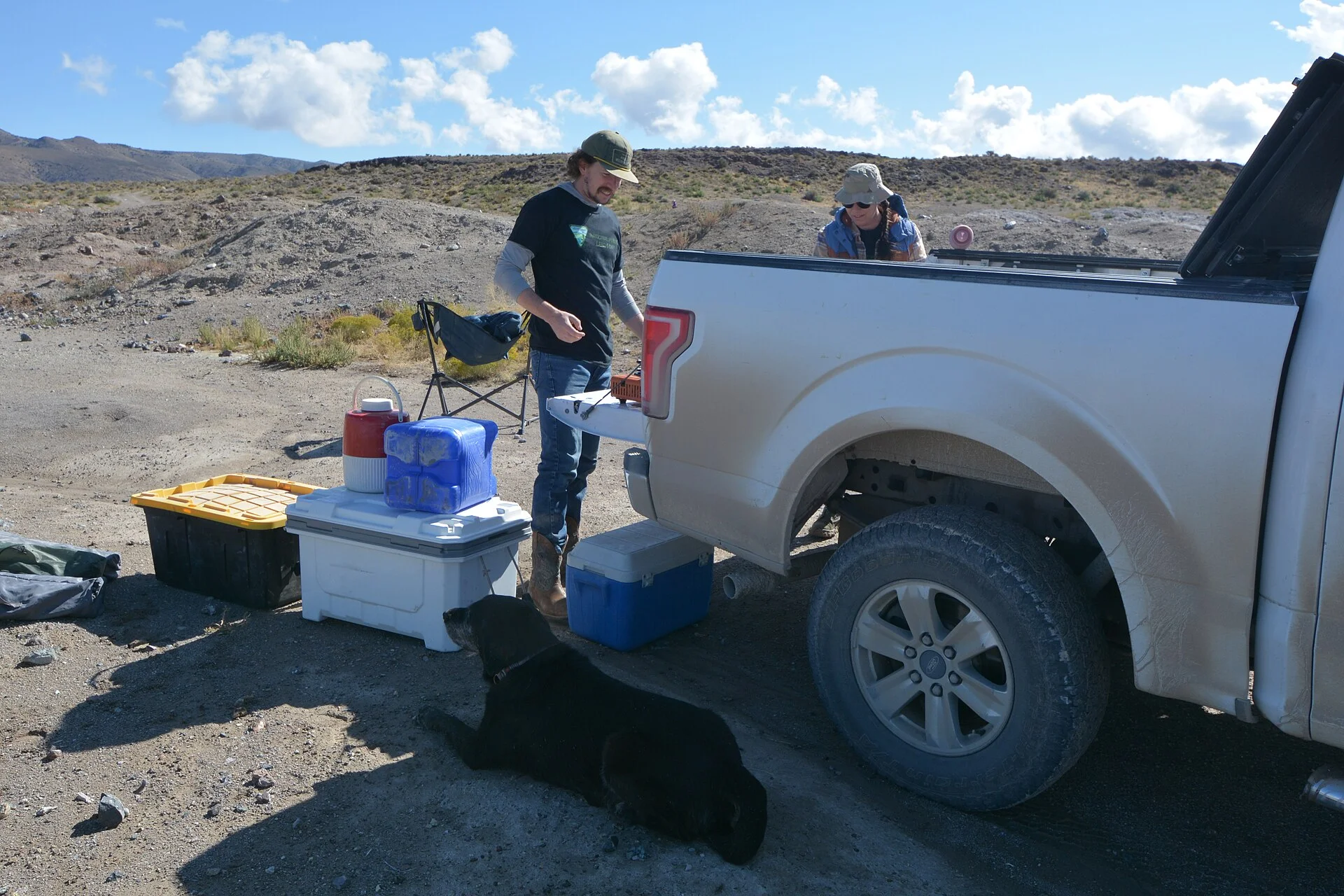 Can a Dog Ride in a Truck Bed? 6 States Ban It