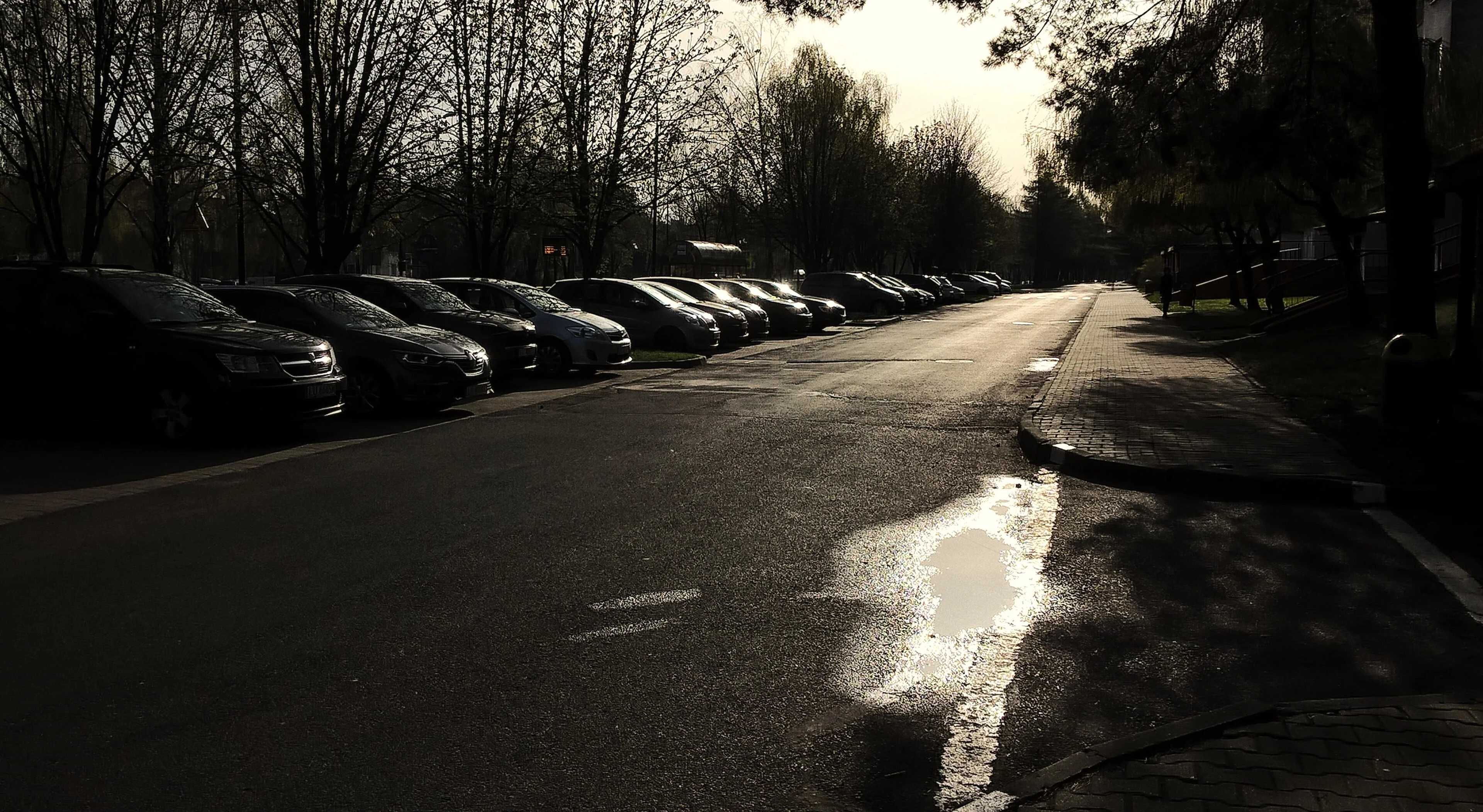 Can You Sleep in Your Car on a Residential Street?
