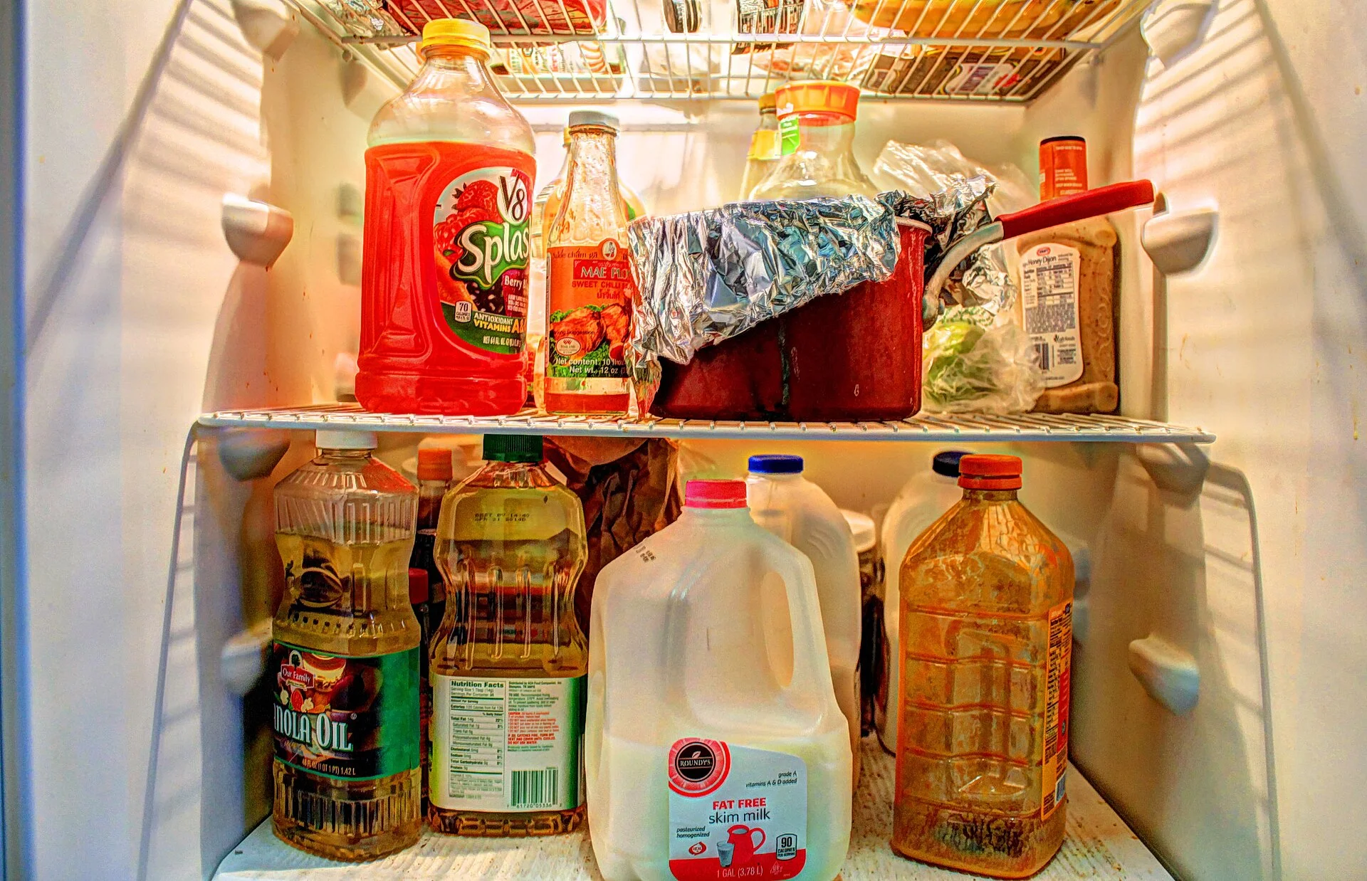 Dometic CFX3 45 vs Iceco VL60: Which 12V Fridge for Car Camping?