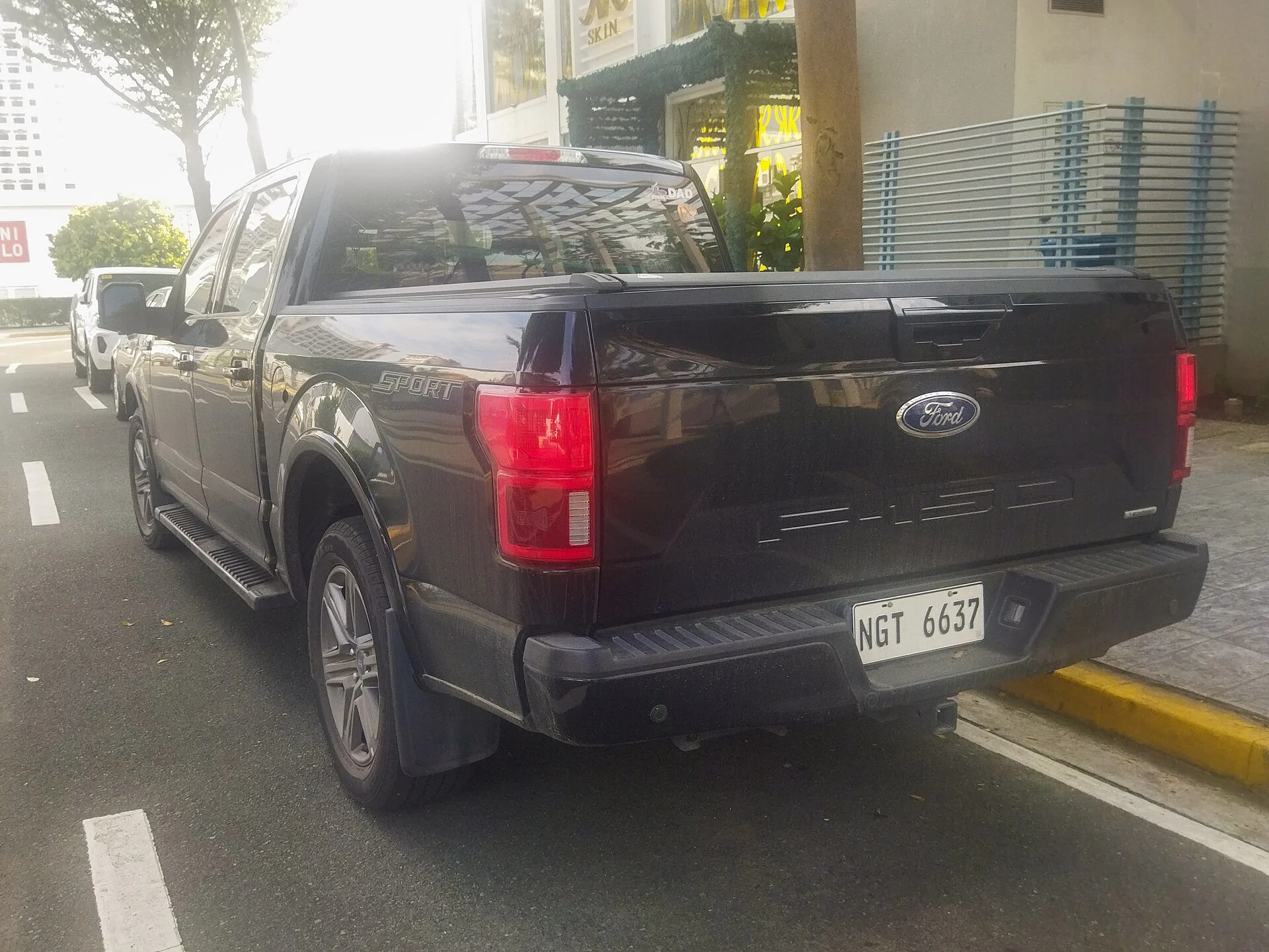 Grey Ford F-150 Lariat, rear tailgate and bed