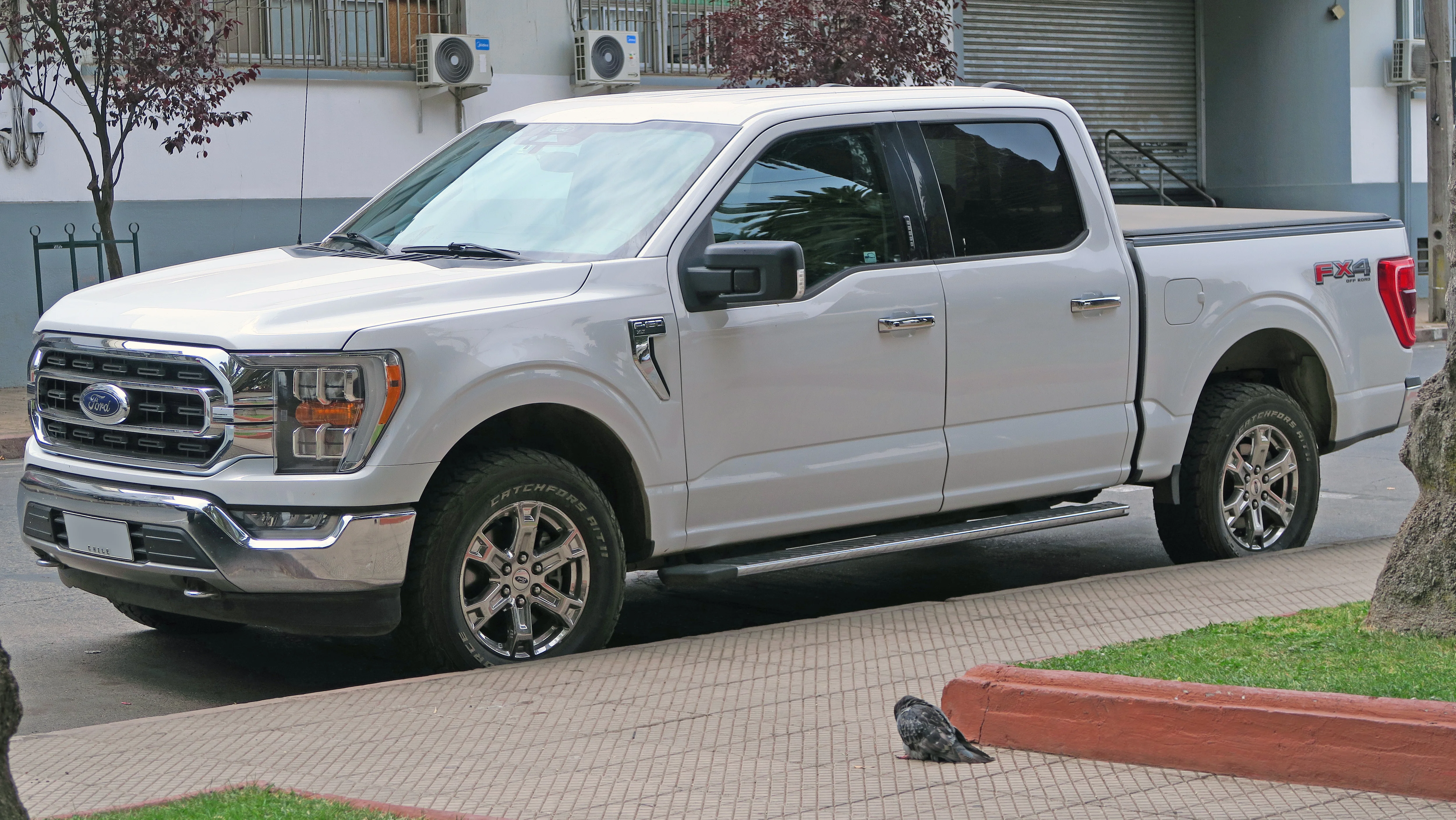 Ford F-150 Truck Bed Dimensions for Camping: All Three Beds
