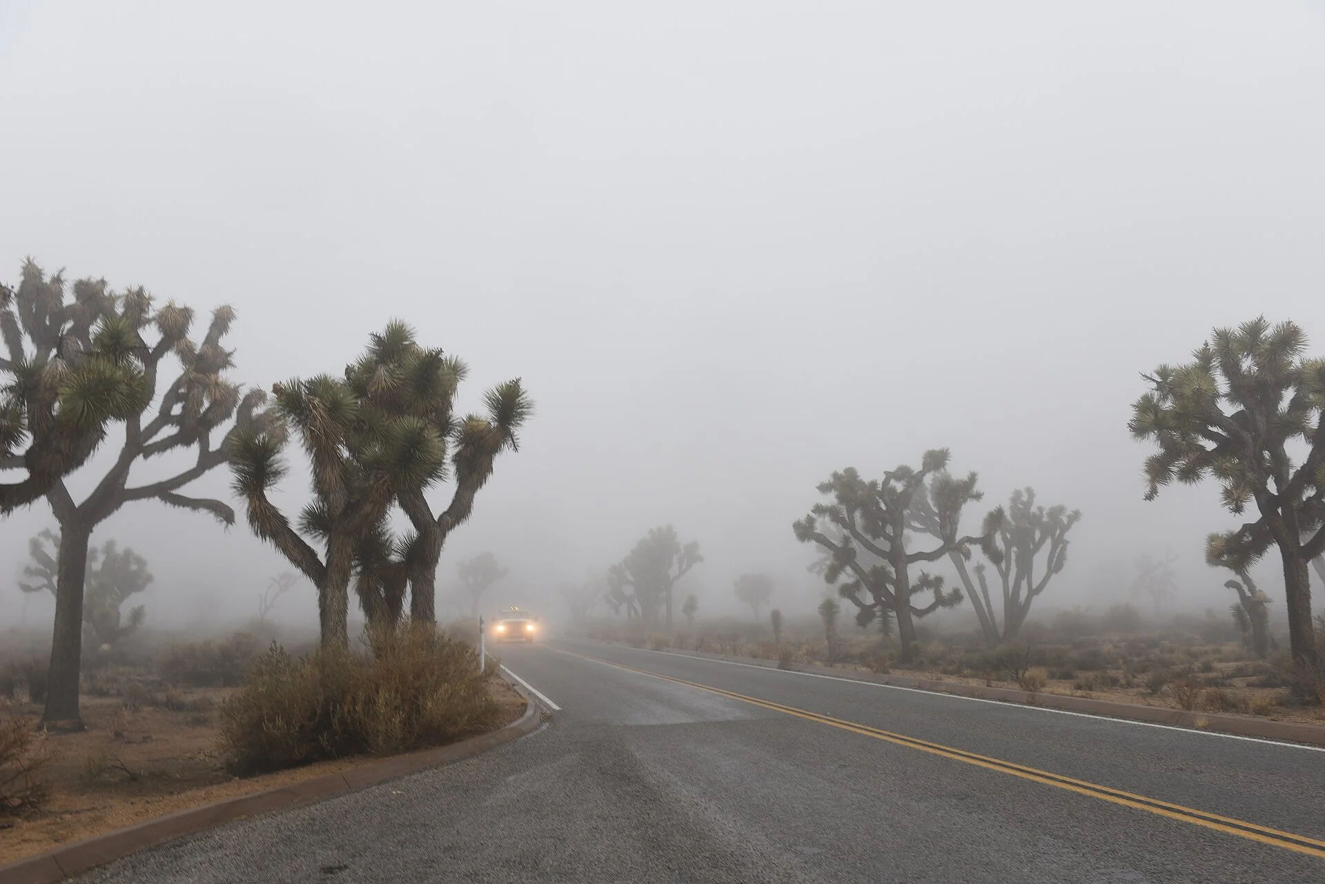 Car driving with headlights on through fog on a desert road, low visibility