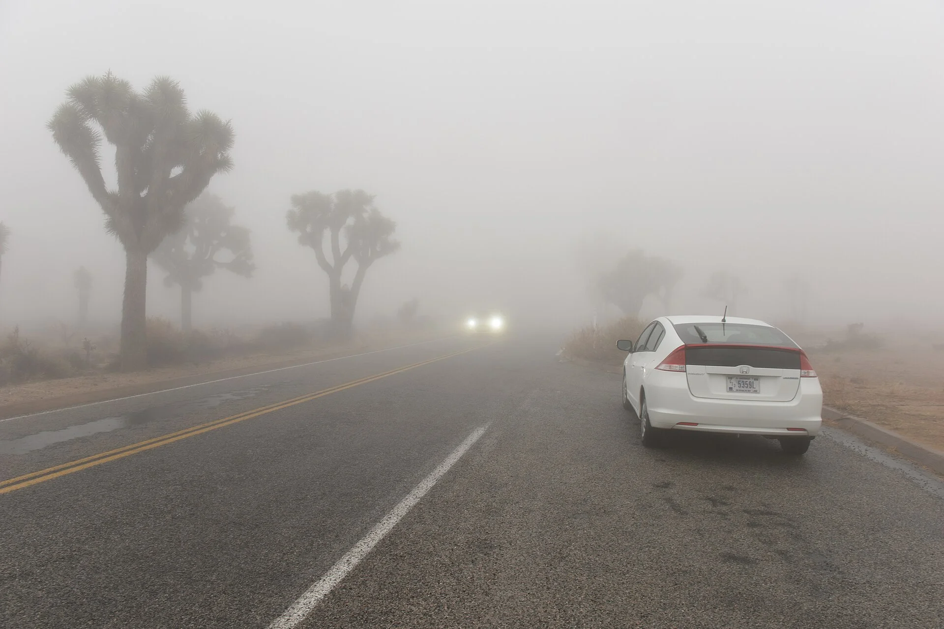 Car driving through fog (24364758341)