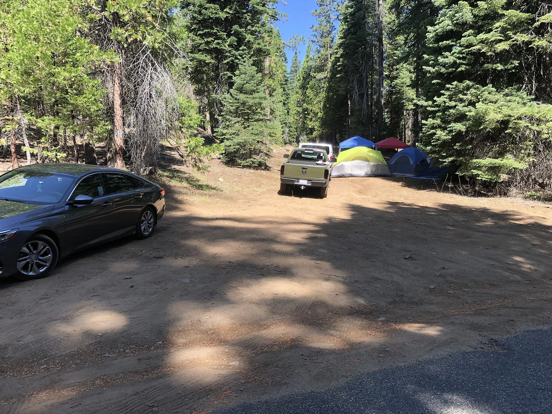 Dispersed camping on public land — tents at a free forest campsite