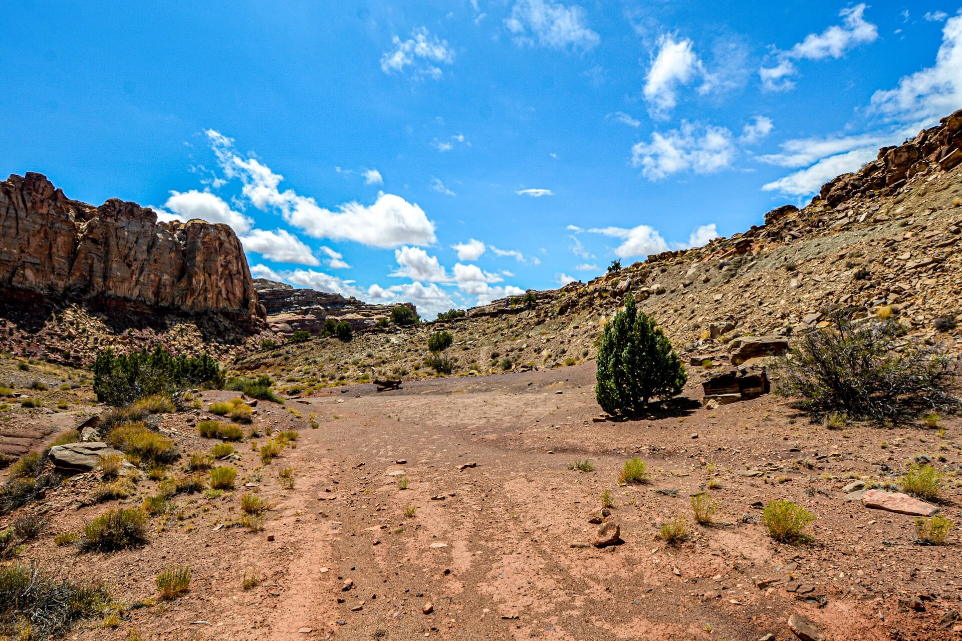 Dispersed camping site (53936336030)