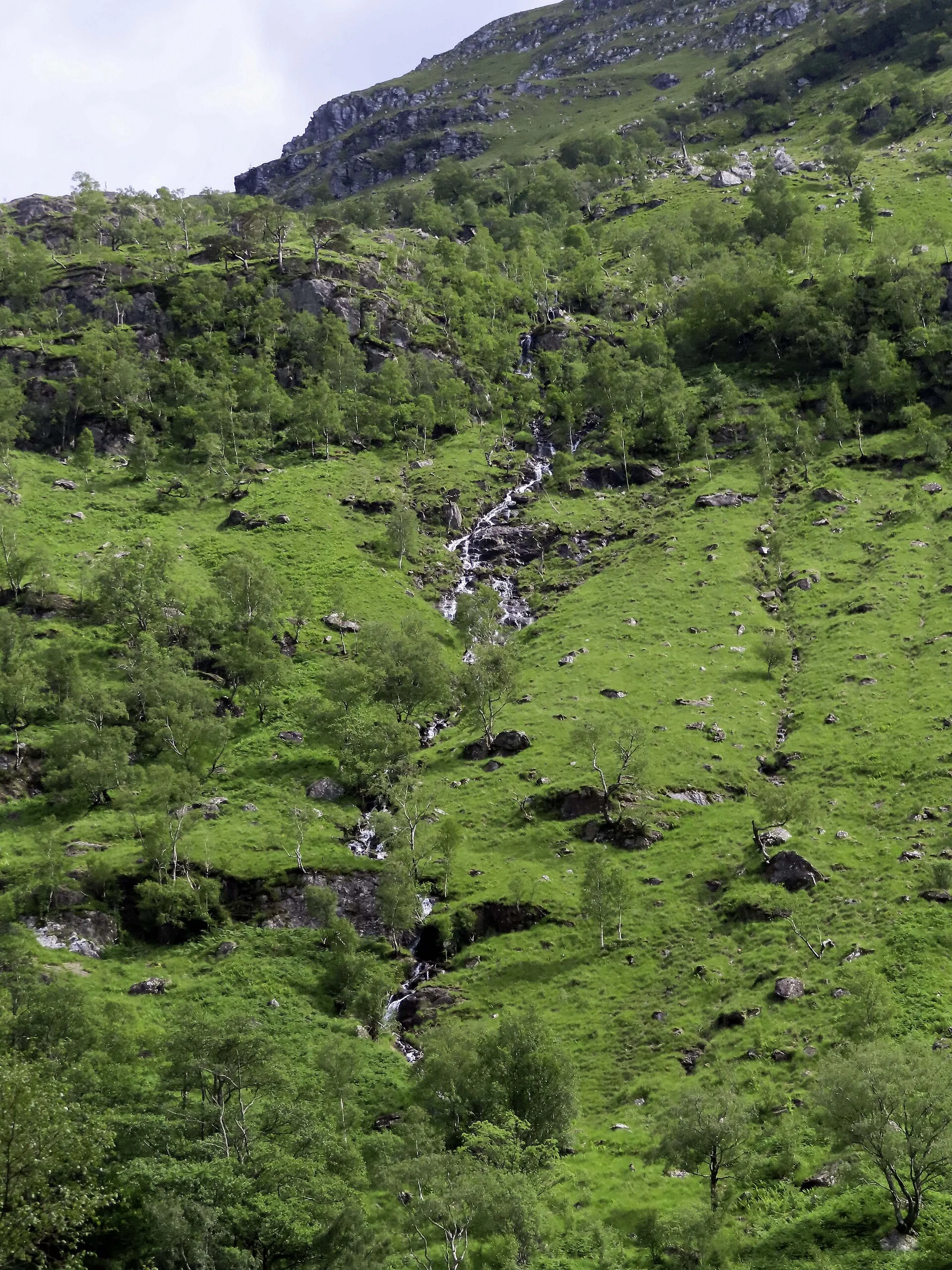Finding water while car camping — a mountain stream as a natural backcountry source