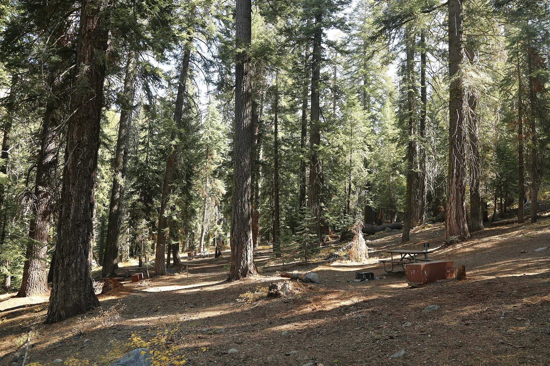 A car parked at a forest walk-in campsite where finding level ground is the first step to sleeping flat