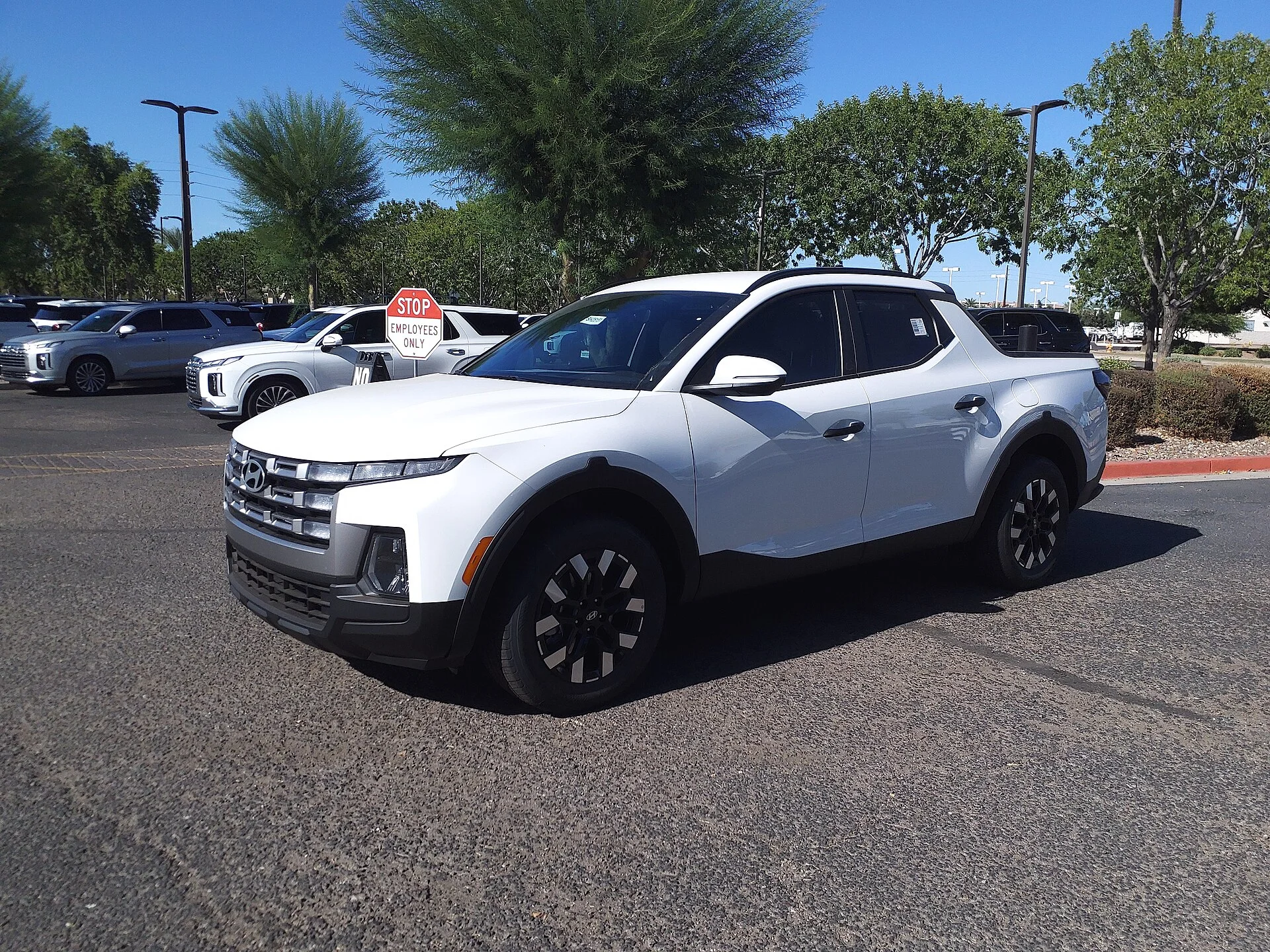 Hyundai Santa Cruz Camping: Bed or Cabin?