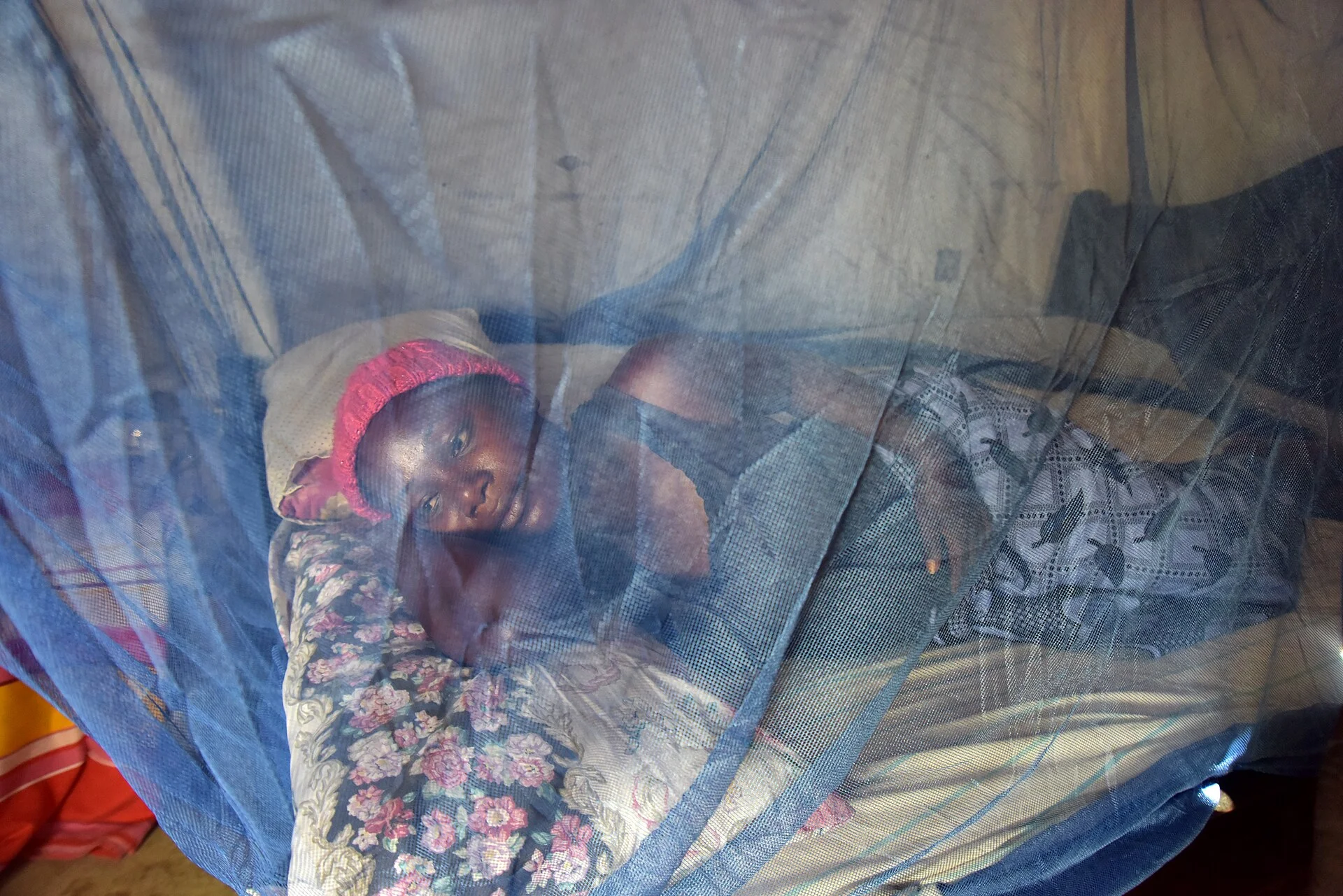 How to Keep Bugs and Mosquitoes Out While Car Camping With the Windows Cracked
