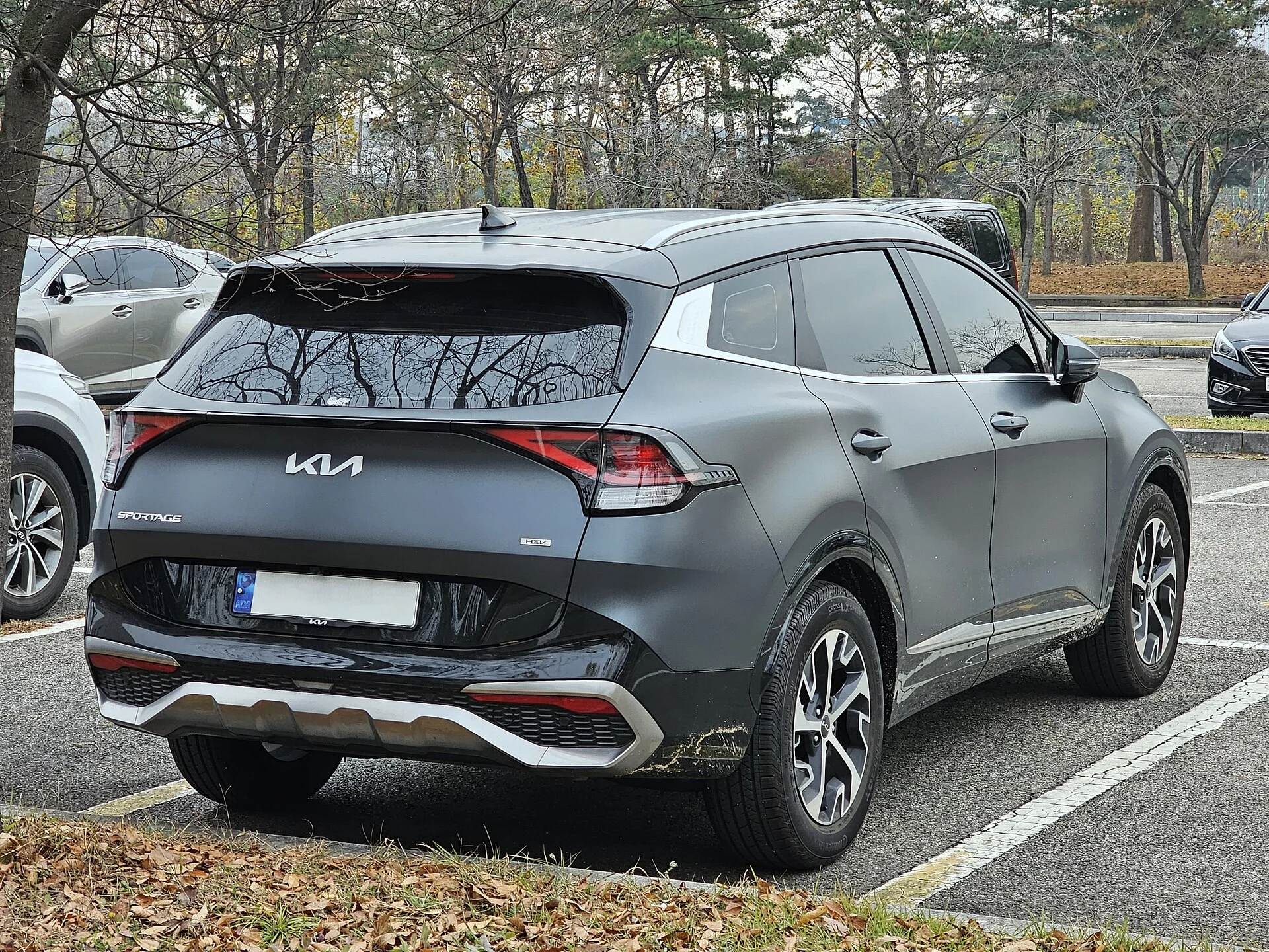 Grey Kia Sportage Hybrid (current NQ5 generation) crossover seen from the rear three-quarter, liftgate and rear cargo area facing the camera