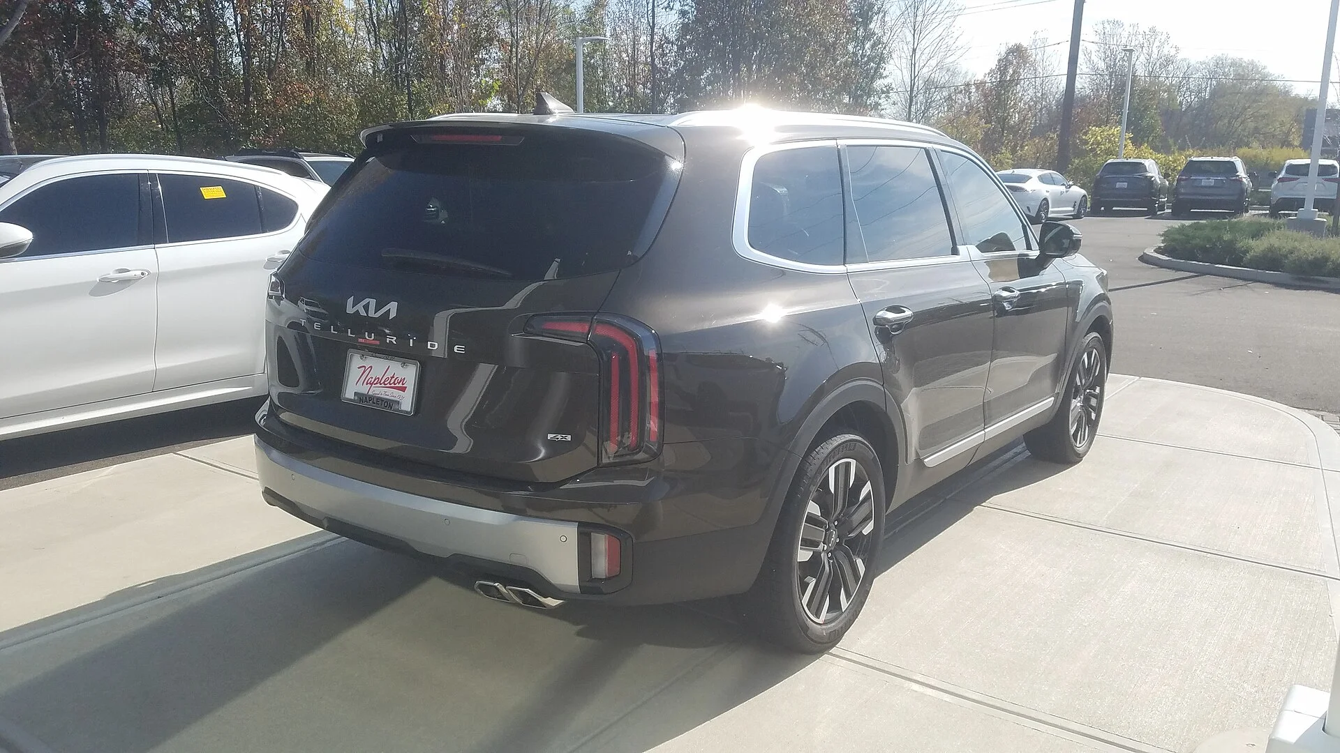 2023 Kia Telluride rear end