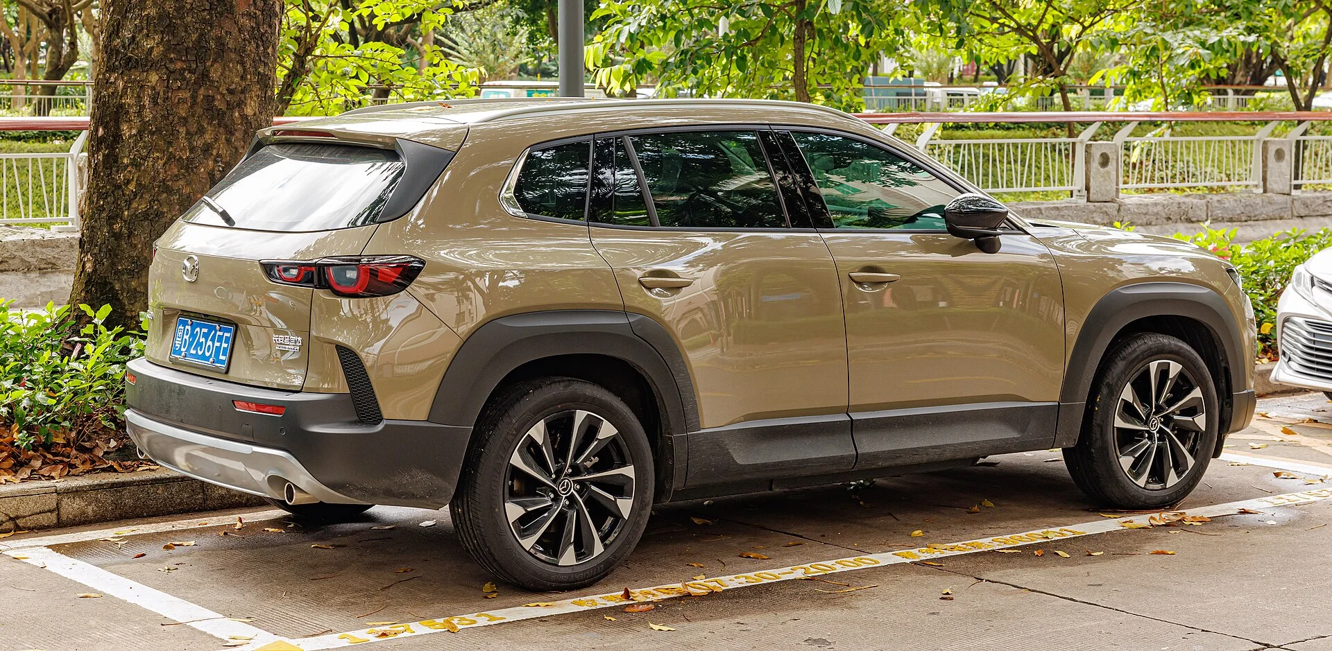 A Mazda CX-50 rear three-quarter, the liftgate and cargo end you fold the seats into for a flat bed