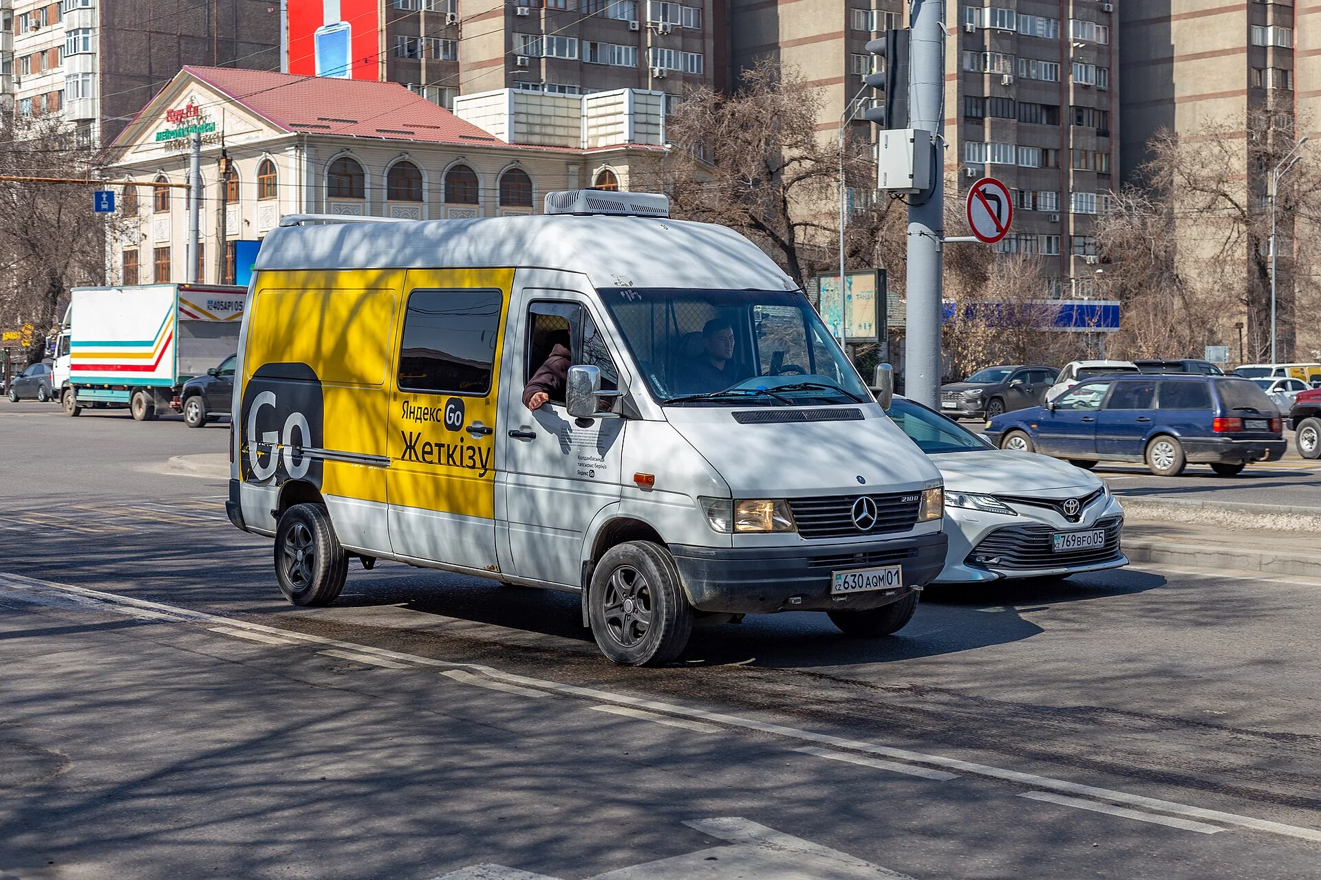 Mercedes Sprinter Van Camping Guide: Professional Camper Conversion