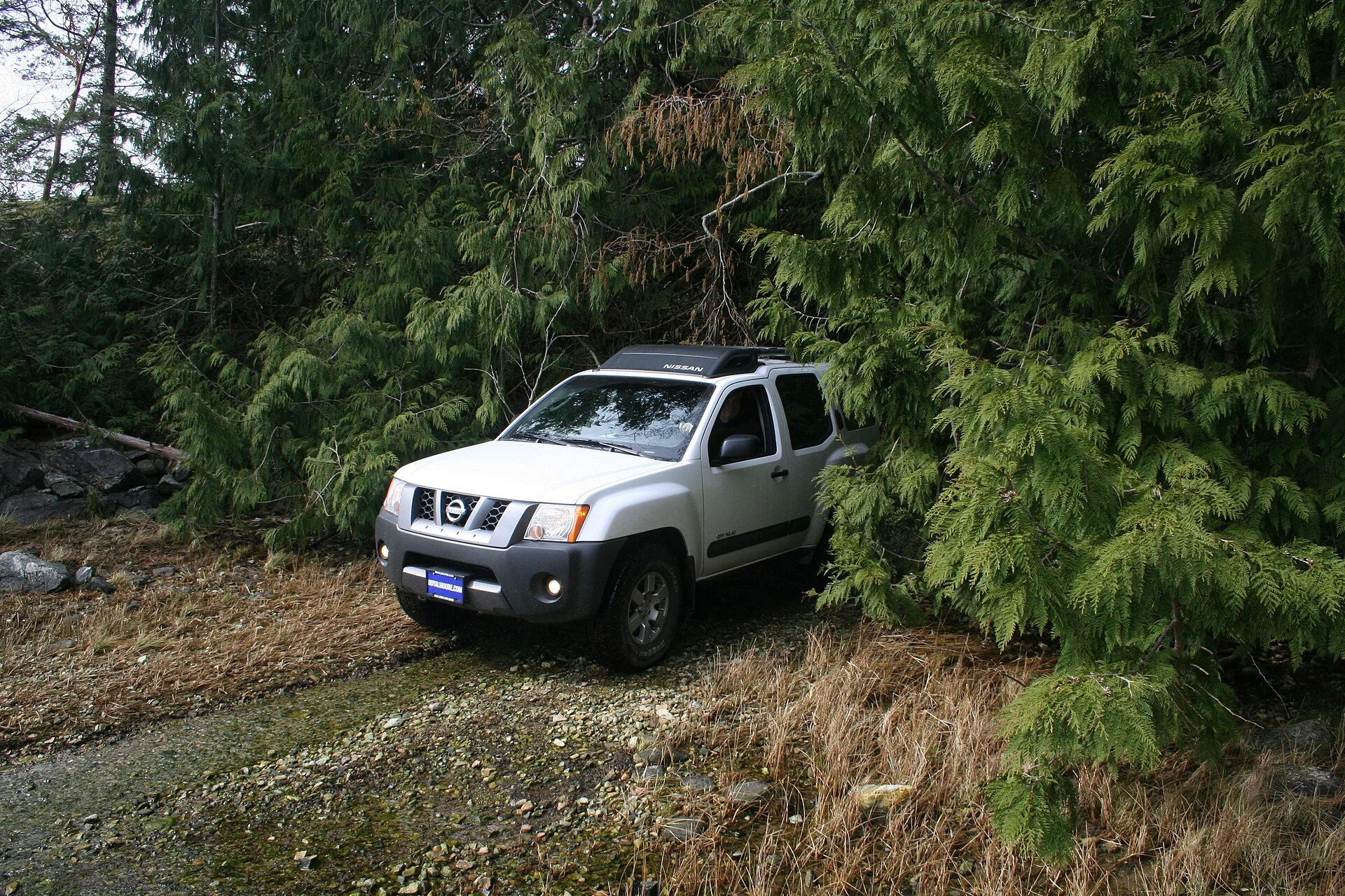 White Nissan Xterra (N50 generation) parked on a forest trail, showing its off-road ground clearance
