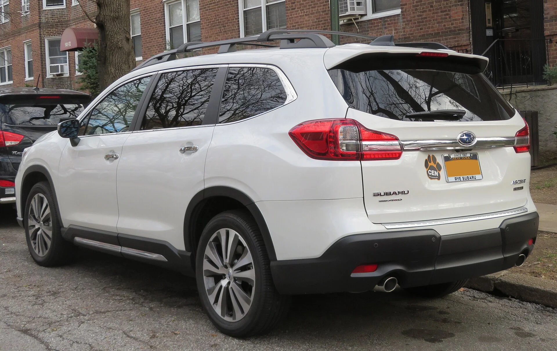 Subaru Ascent — a white 2019 Ascent, rear three-quarter view showing the roof rails