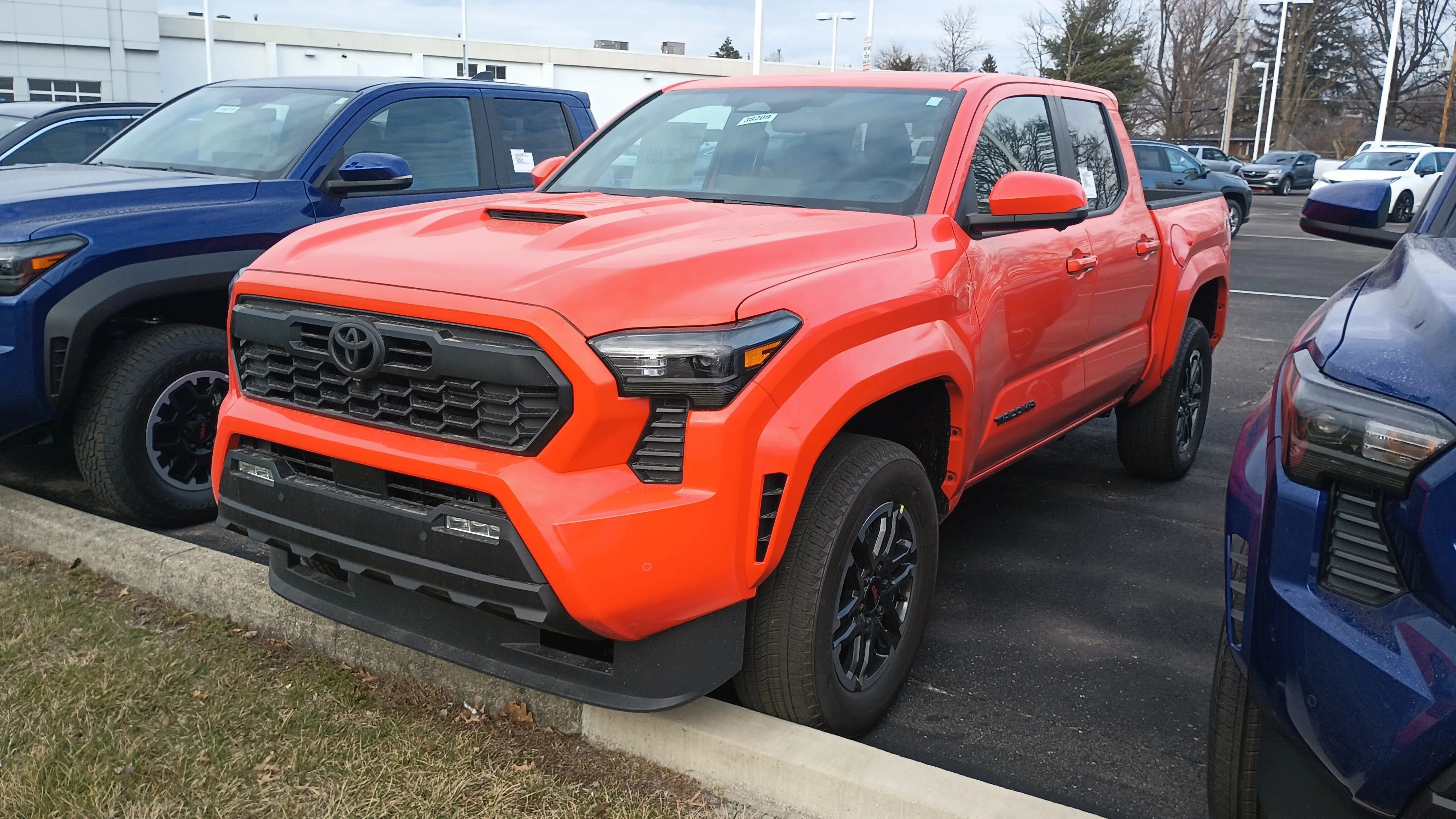 Toyota Tacoma Truck Bed Dimensions for Camping: 5ft vs 6ft
