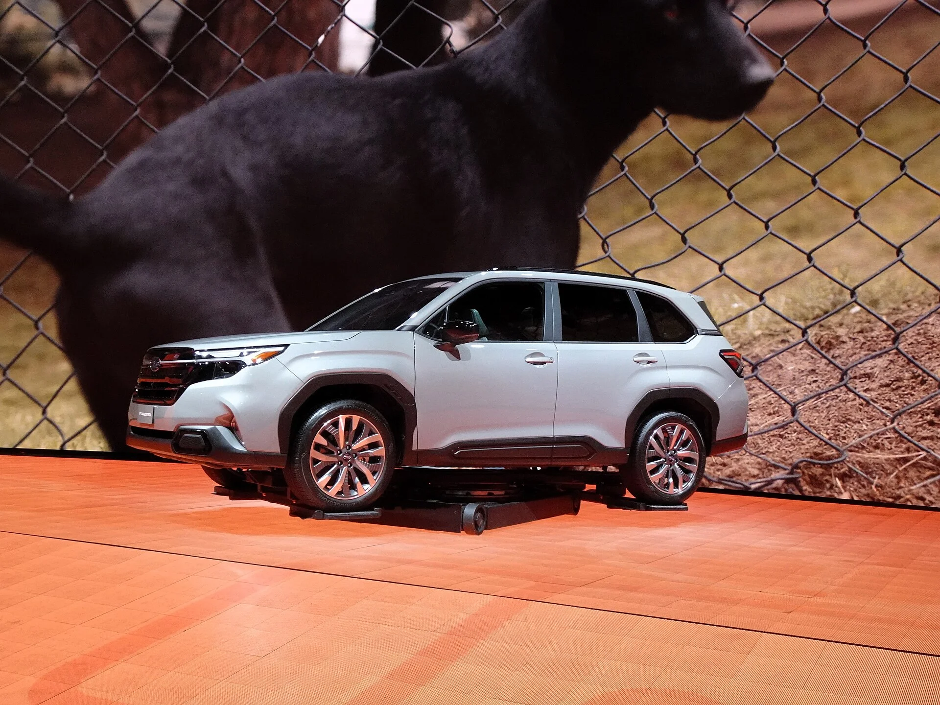 Will a Dog Crate Fit in a Subaru Forester?