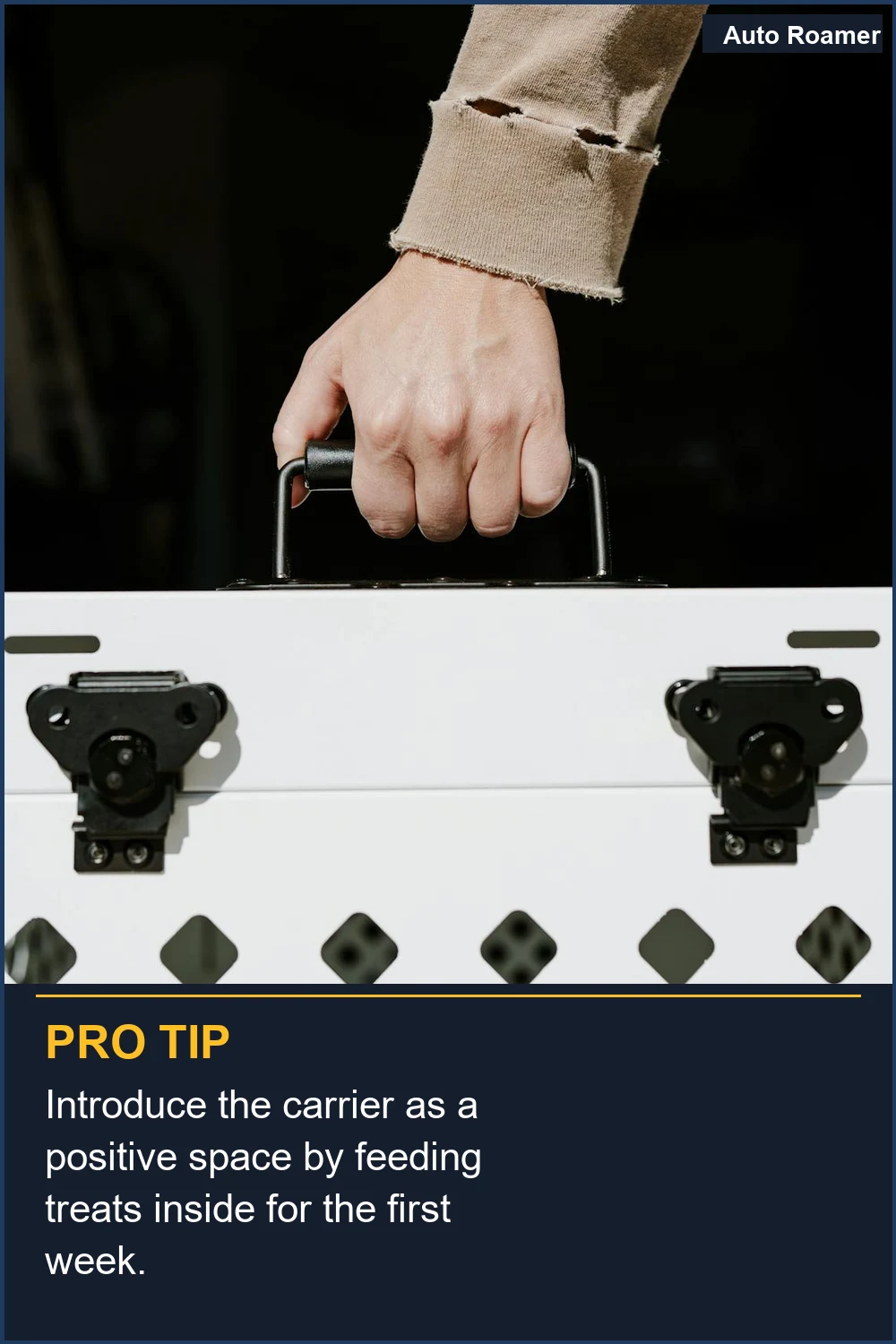 Introduce the carrier as a positive space by feeding treats inside for the first week.