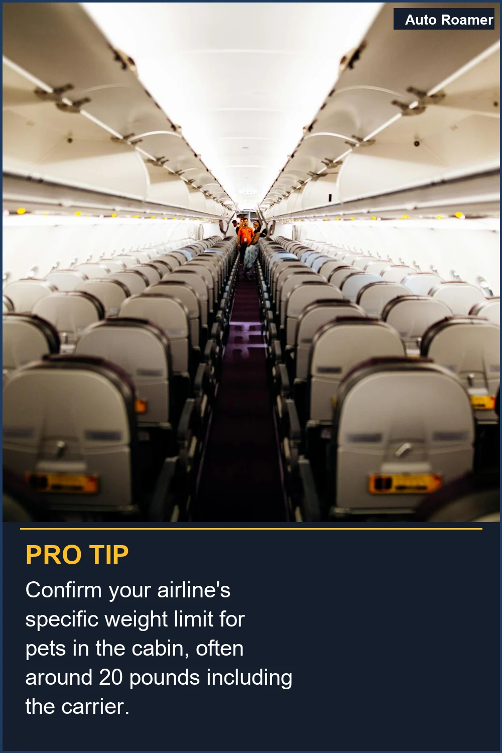 Confirm your airline's specific weight limit for pets in the cabin, often around 20 pounds including the carrier.