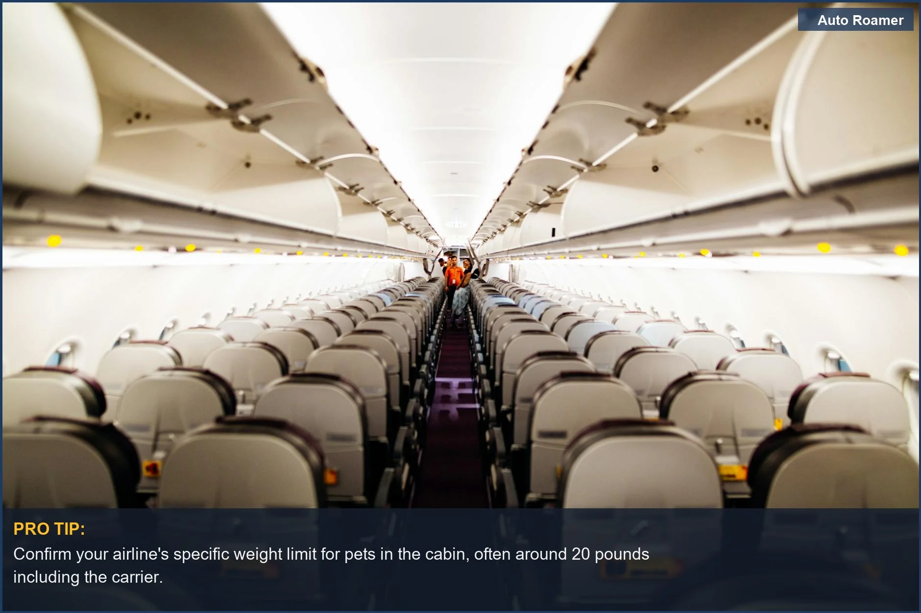 Empty airplane cabin aisle seats and overhead bins, highlighting space for airline pet weight limits.
