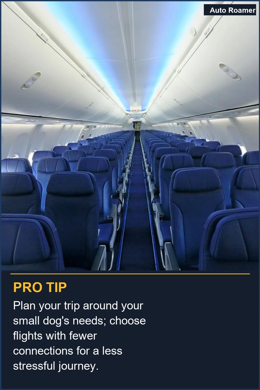 Plan your trip around your small dog's needs; choose flights with fewer connections for a less stressful journey.