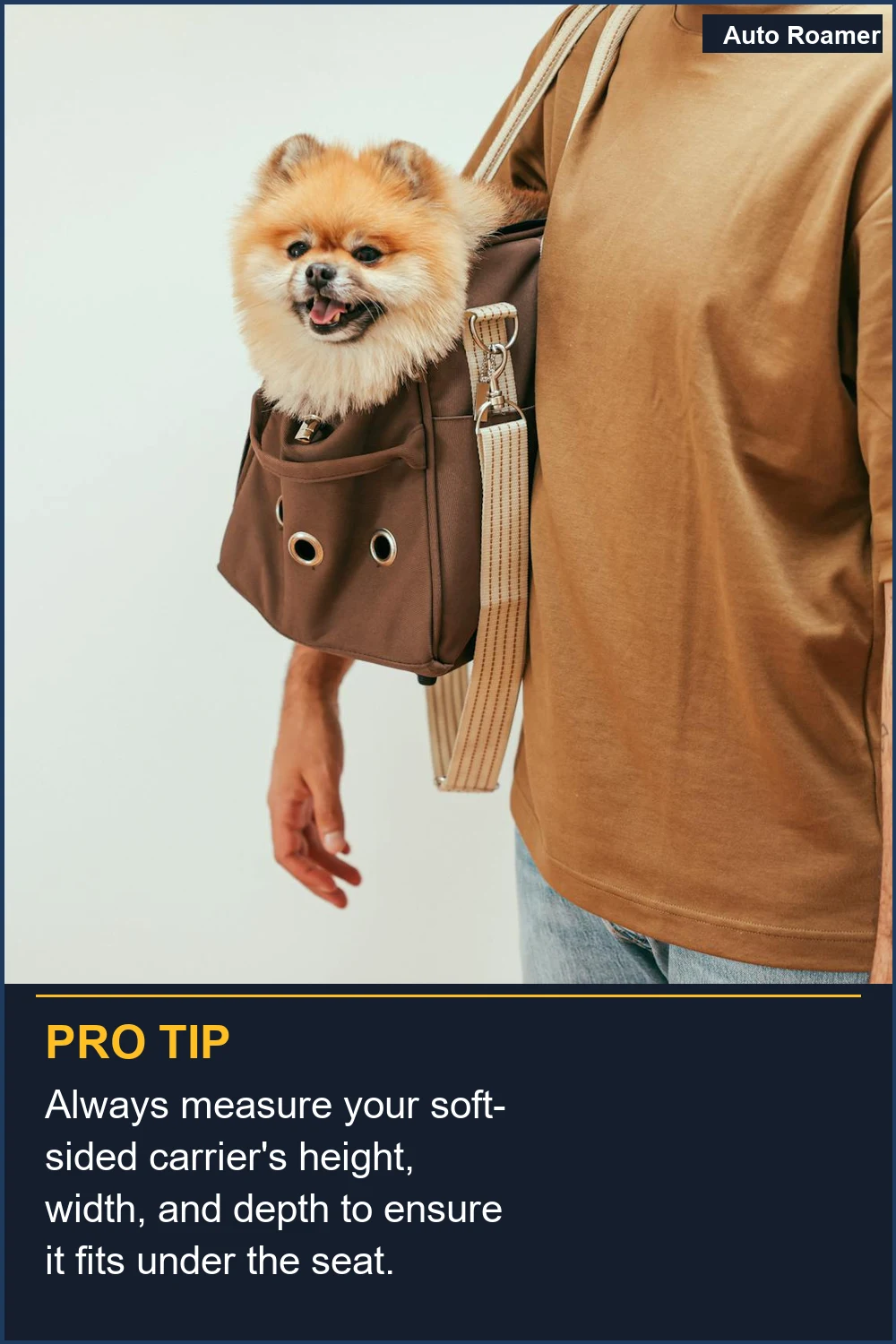 Always measure your soft-sided carrier's height, width, and depth to ensure it fits under the seat.