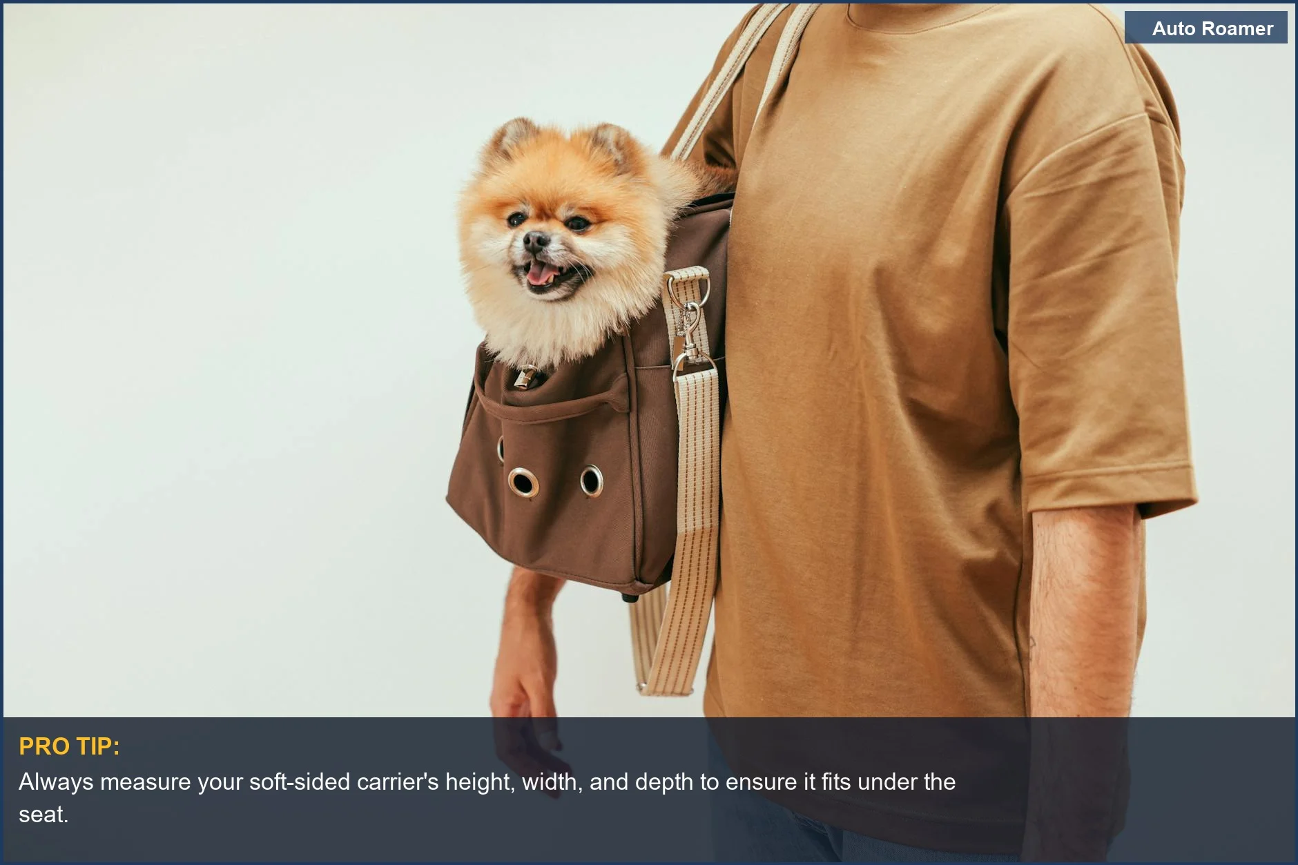 Happy Pomeranian dog in a soft-sided pet carrier bag for airline travel, meeting pet carrier dimensions.