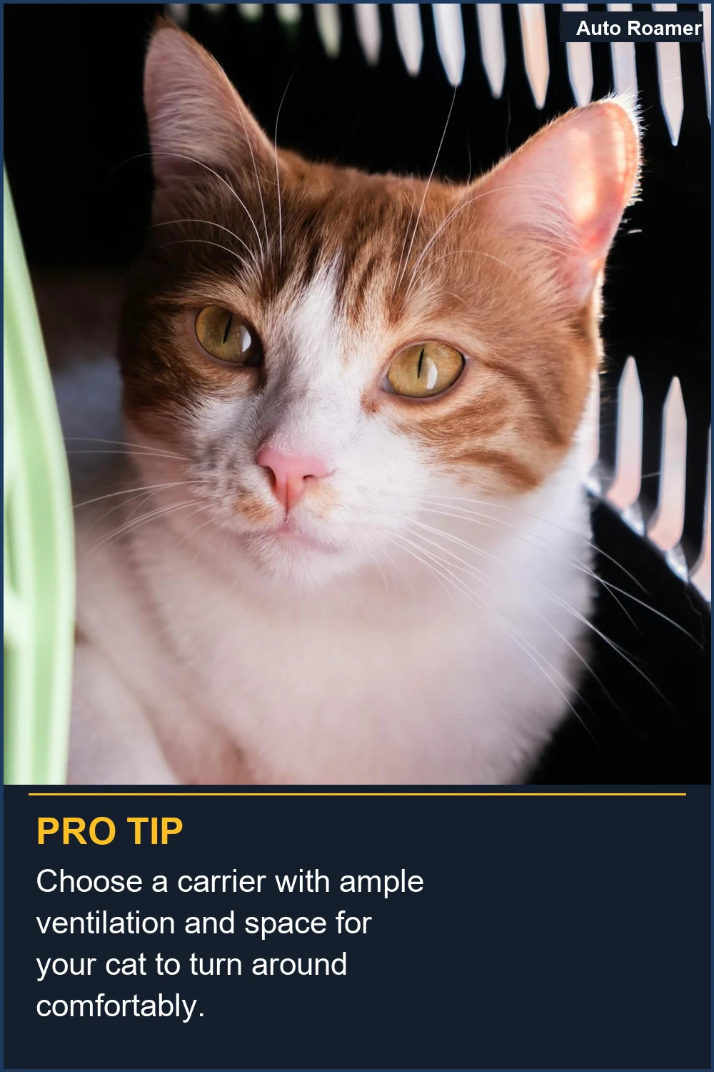 Choose a carrier with ample ventilation and space for your cat to turn around comfortably.