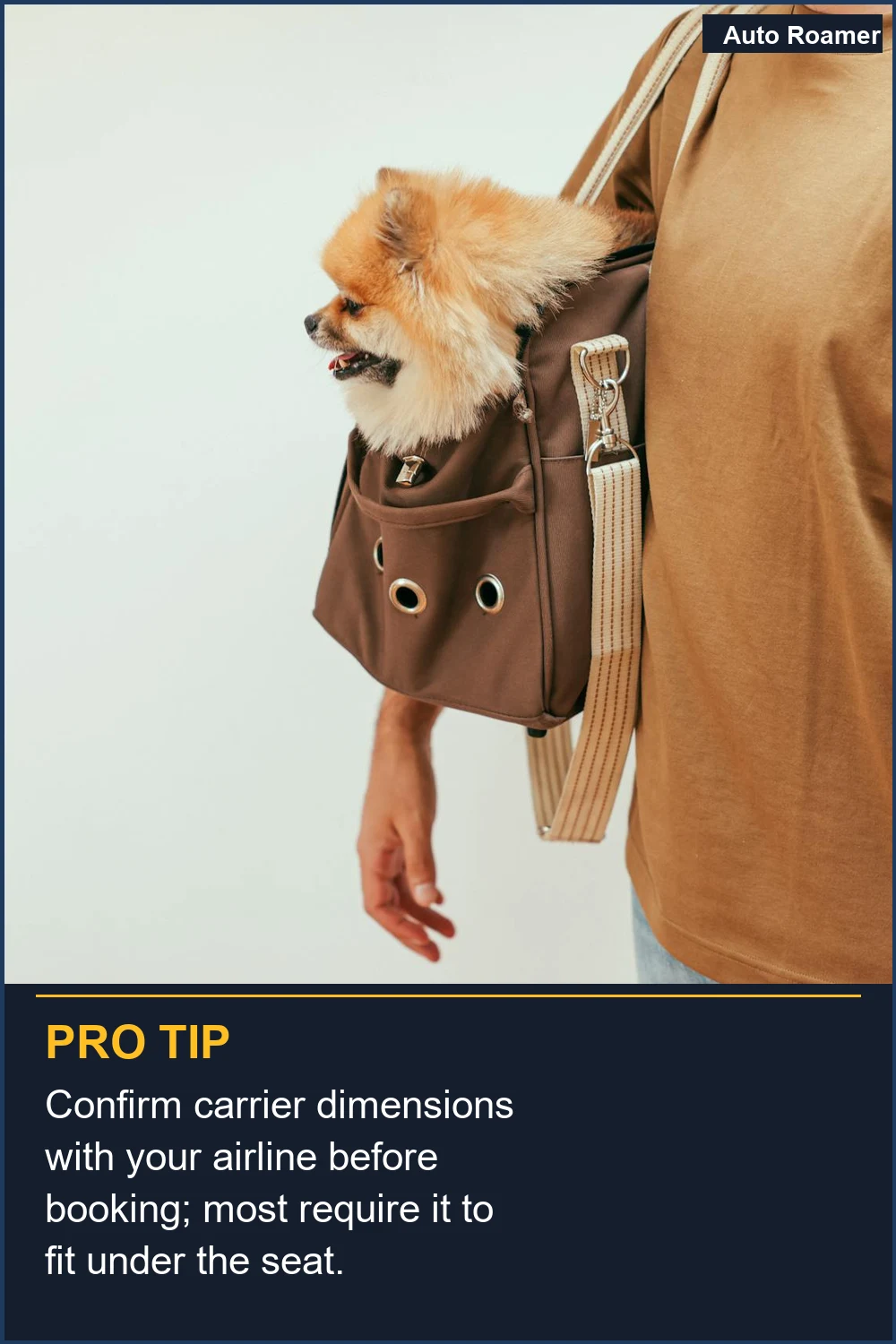 Confirm carrier dimensions with your airline before booking; most require it to fit under the seat.