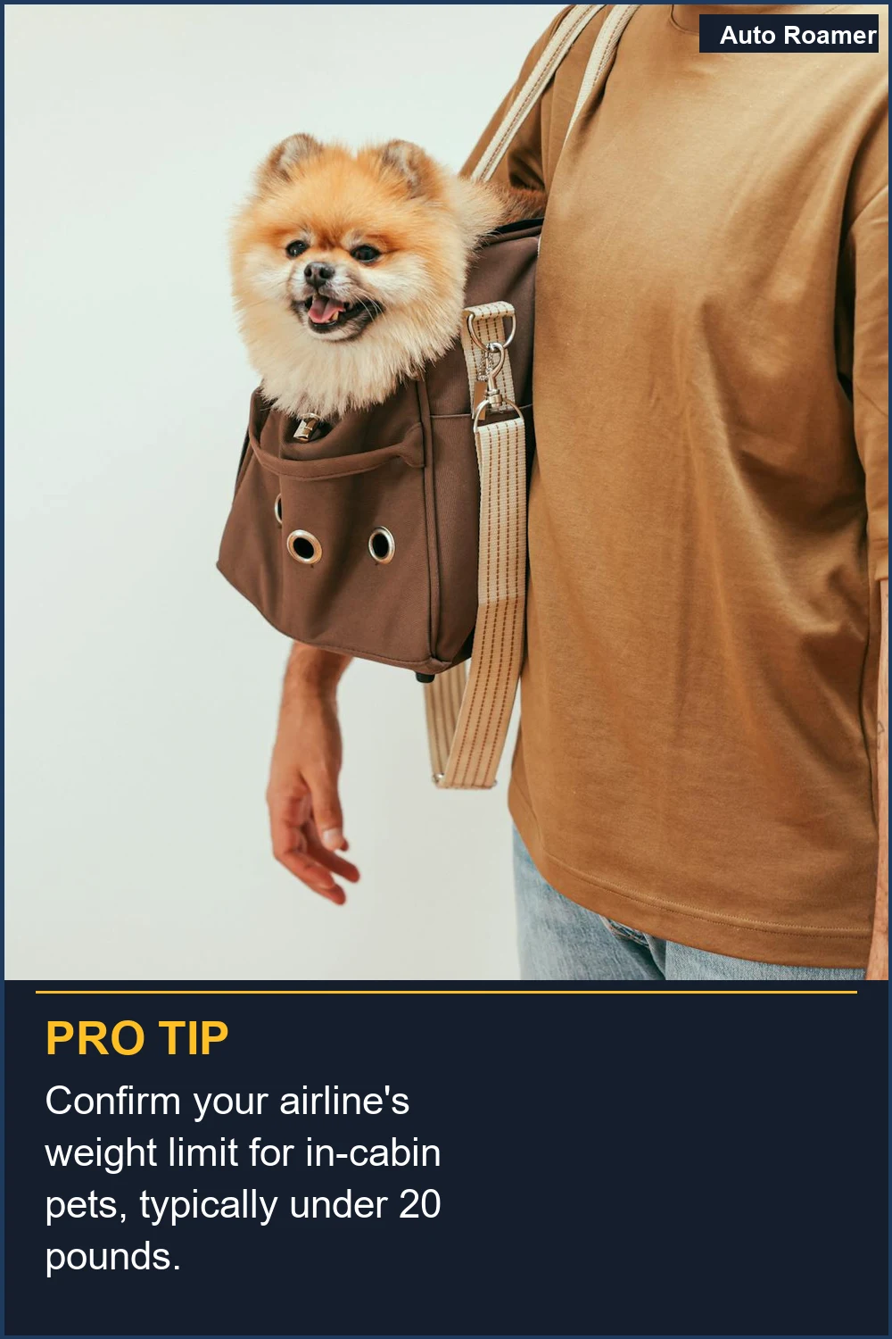 Confirm your airline's weight limit for in-cabin pets, typically under 20 pounds.
