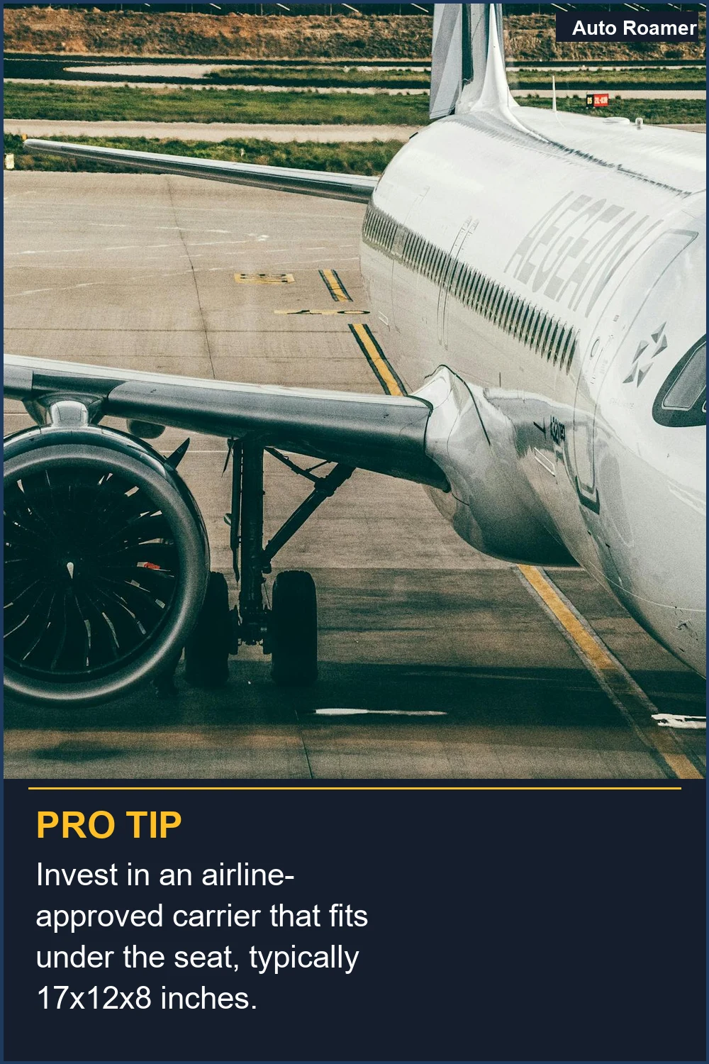 Invest in an airline-approved carrier that fits under the seat, typically 17x12x8 inches.