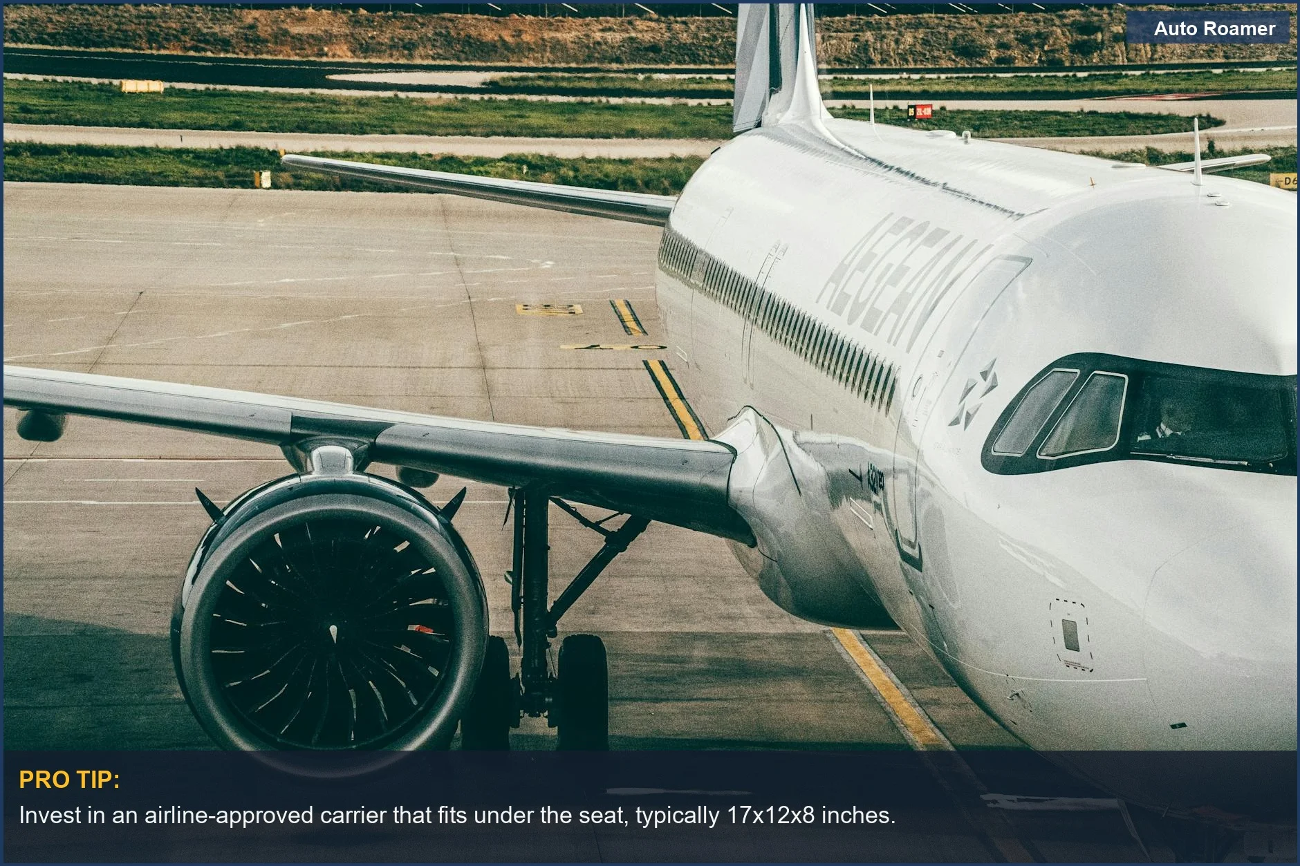 Aegean Airlines airplane engine on tarmac, relevant for flying with pets rules.