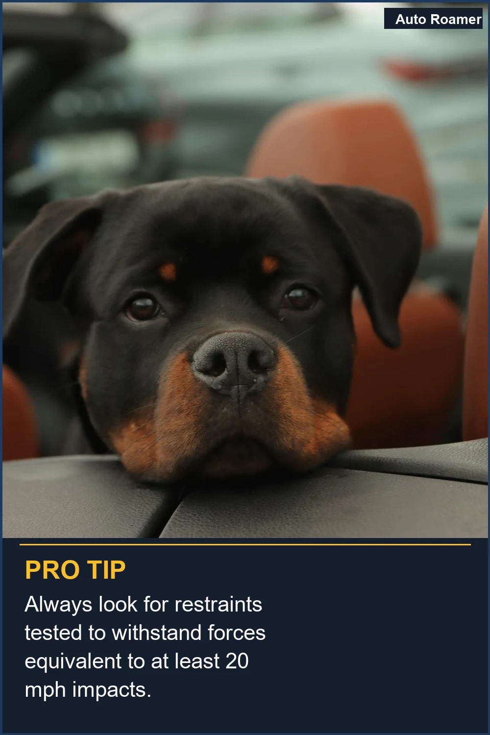 Always look for restraints tested to withstand forces equivalent to at least 20 mph impacts.