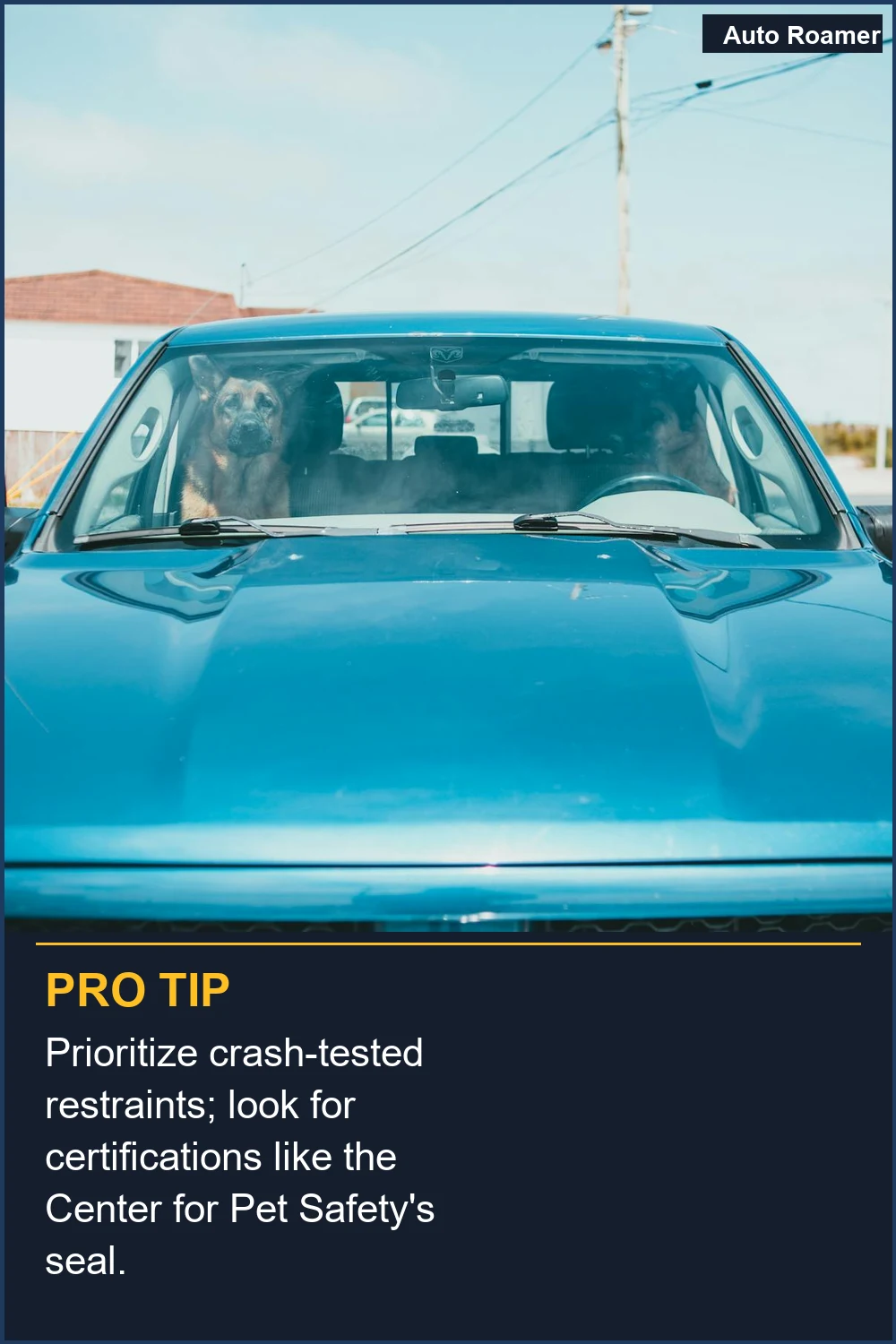 Prioritize crash-tested restraints; look for certifications like the Center for Pet Safety's seal.