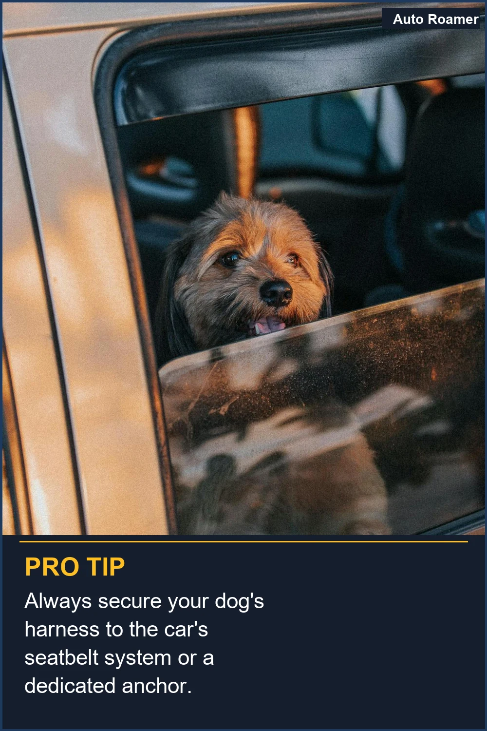 Always secure your dog's harness to the car's seatbelt system or a dedicated anchor.