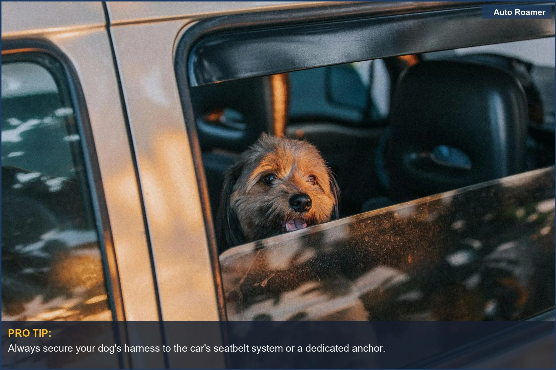 Cute dog looking out a car window, emphasizing pet car restraint importance.