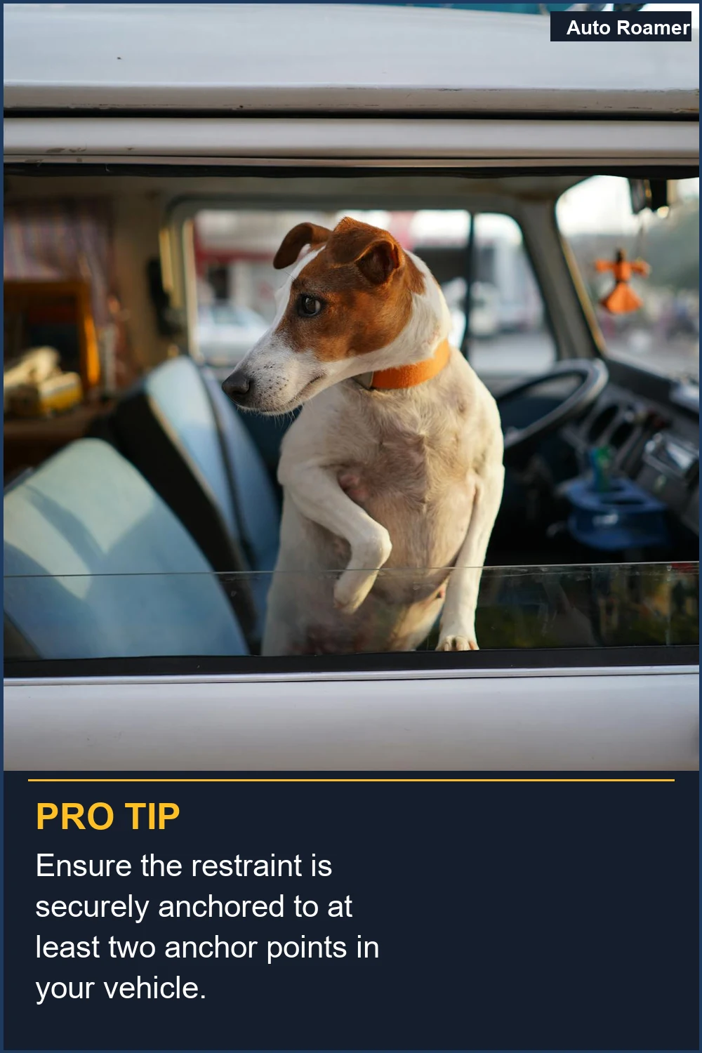 Ensure the restraint is securely anchored to at least two anchor points in your vehicle.