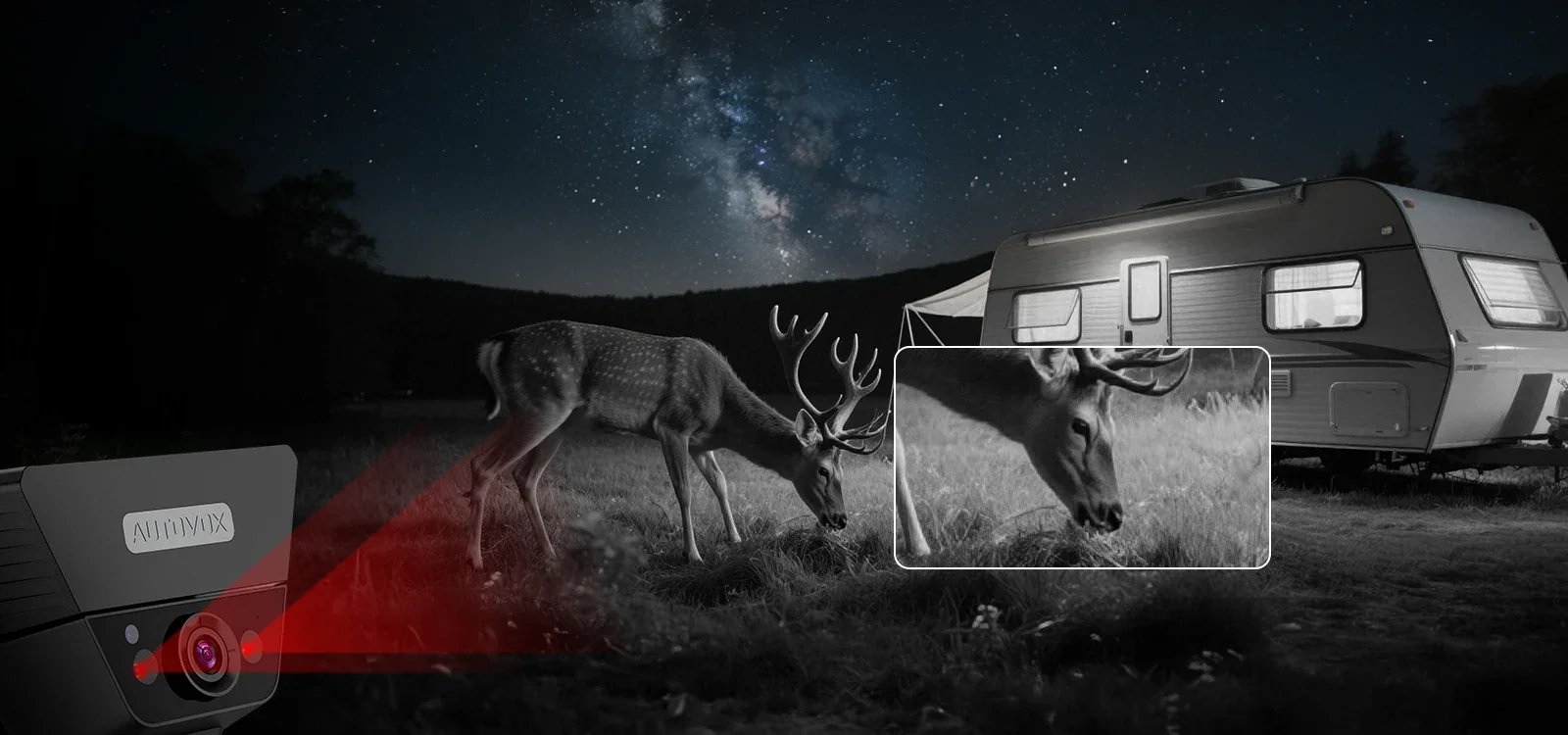 Backup camera capturing a deer at night with its infrared night-vision view inset