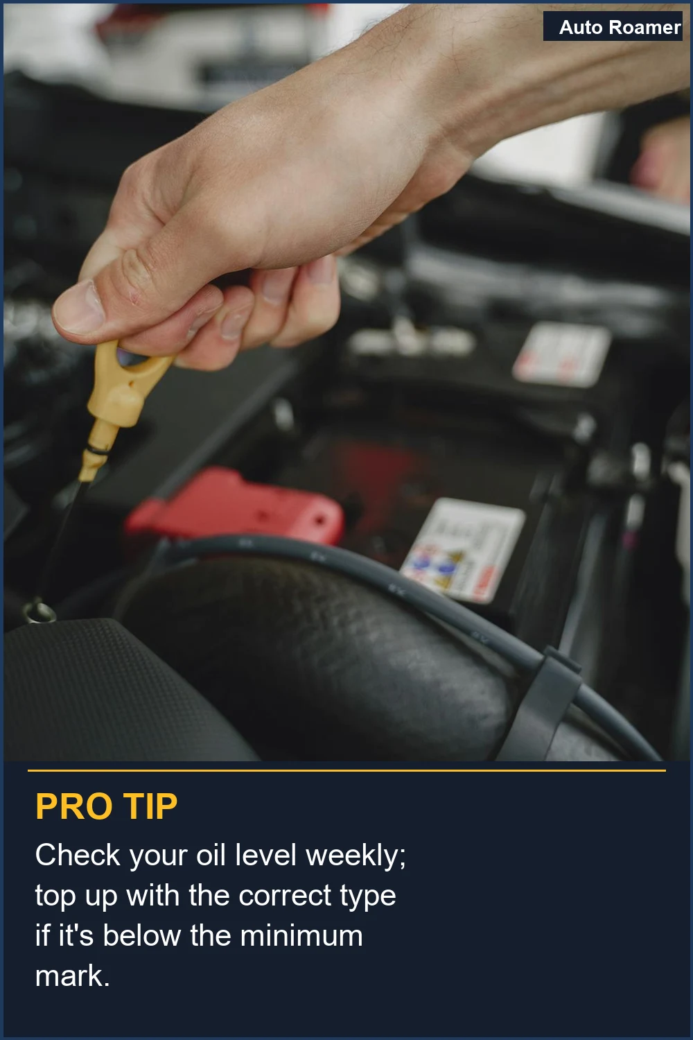 Revisa el nivel de aceite semanalmente; rellena con el tipo correcto si está por debajo de la marca mínima.