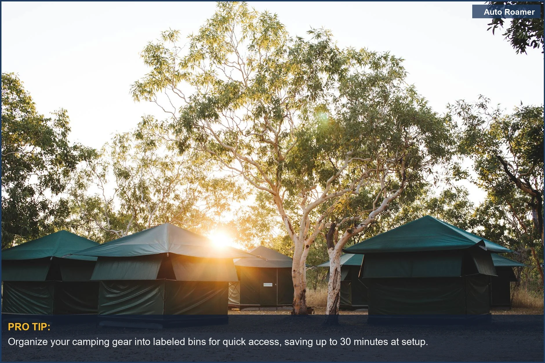 Multiple colorful tents set up in a sunny forest, demonstrating car camping gear organization.