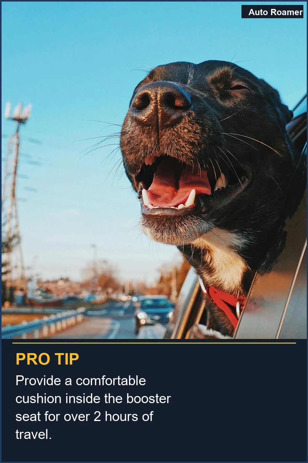 Provide a comfortable cushion inside the booster seat for over 2 hours of travel.