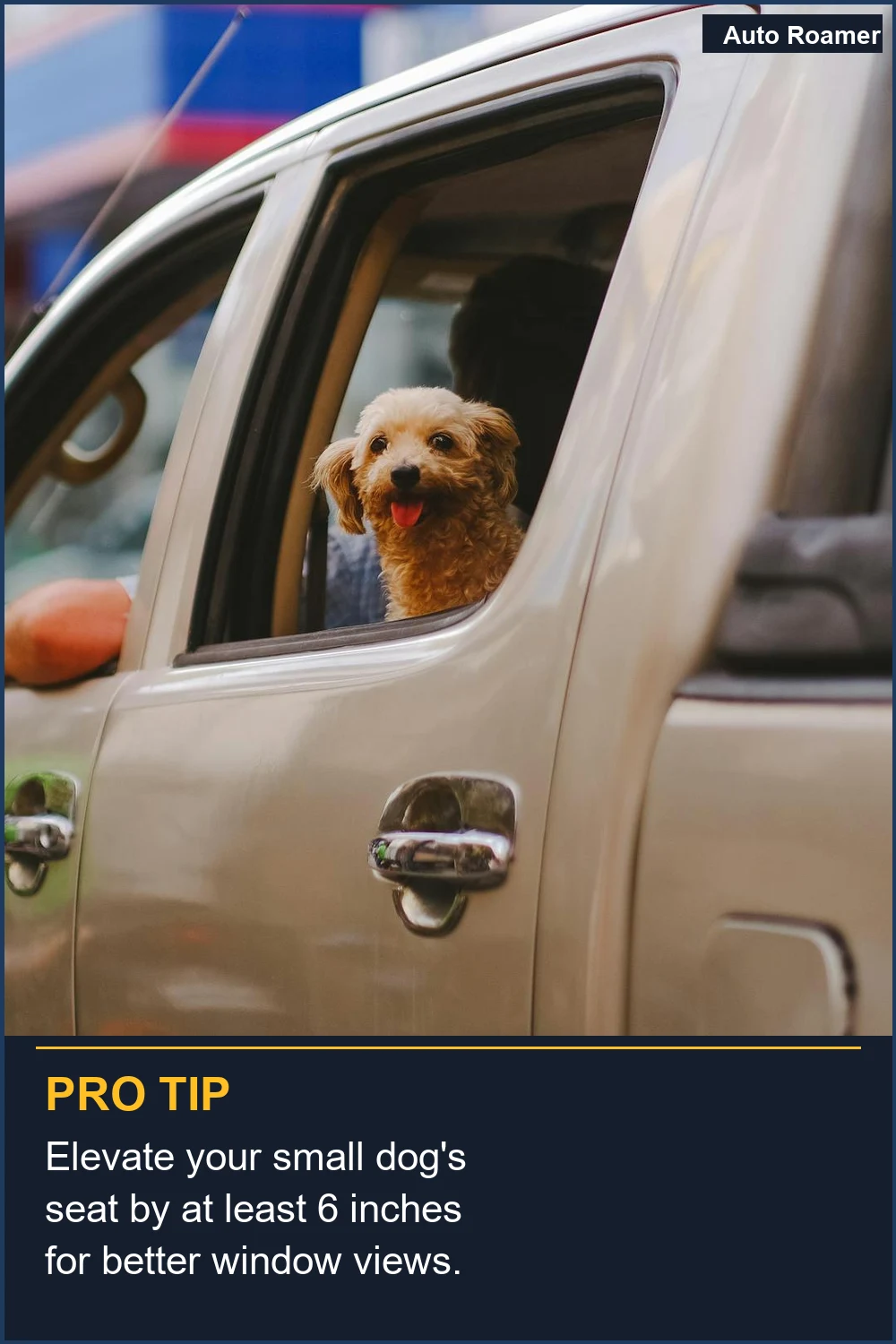 Elevate your small dog's seat by at least 6 inches for better window views.