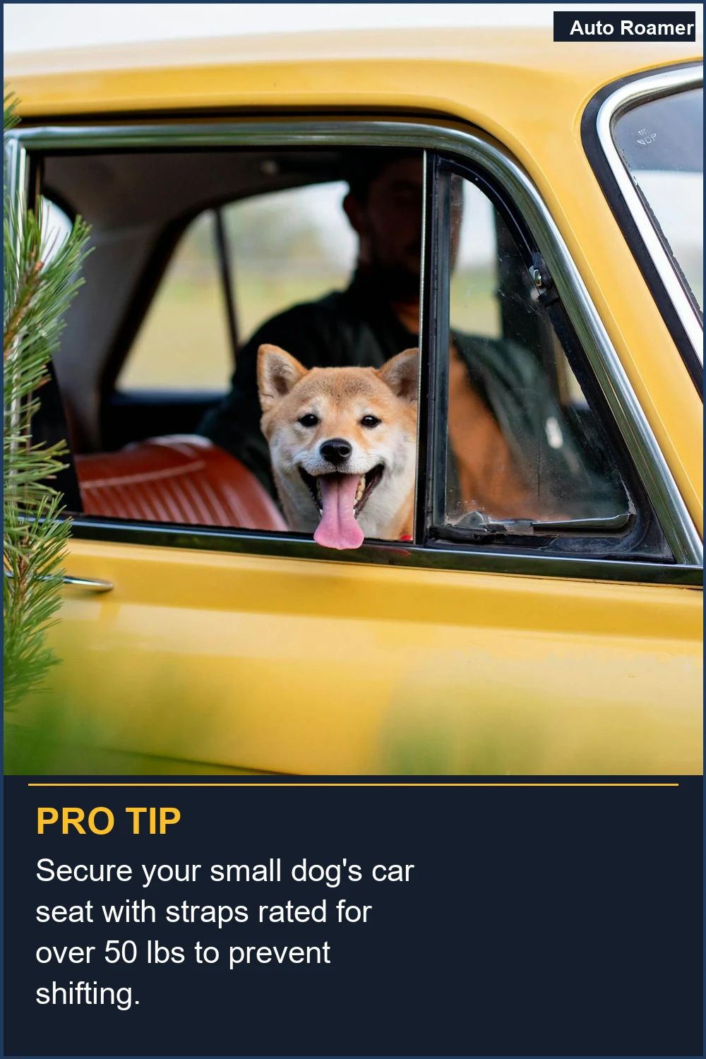 Secure your small dog's car seat with straps rated for over 50 lbs to prevent shifting.
