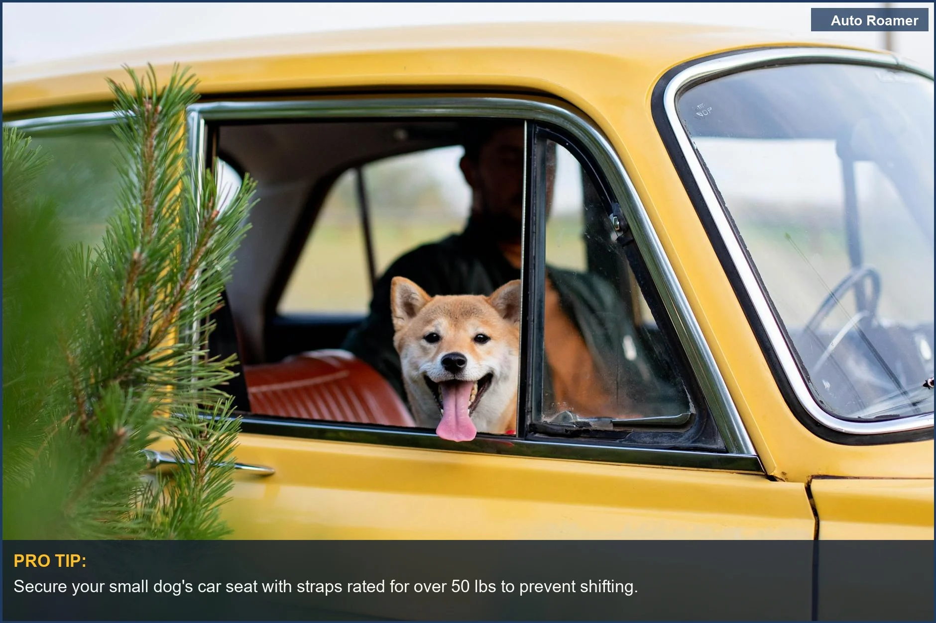 Small dog car seat benefits for small dogs ensure safety during sudden stops.