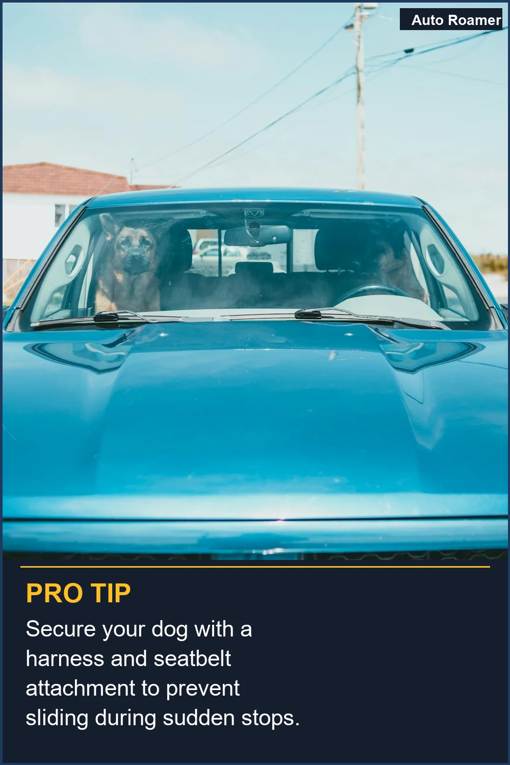 Secure your dog with a harness and seatbelt attachment to prevent sliding during sudden stops.