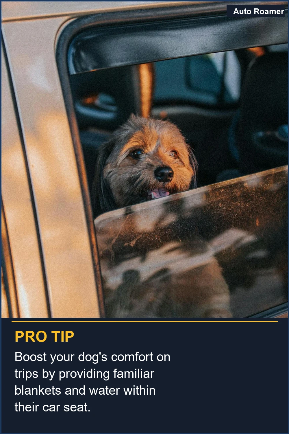 Boost your dog's comfort on trips by providing familiar blankets and water within their car seat.