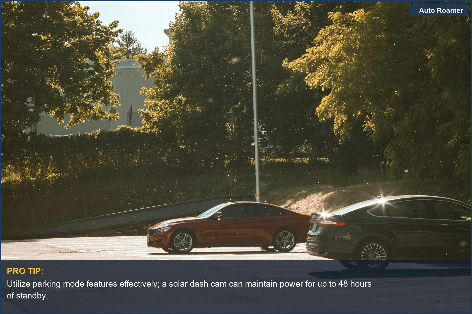 Cars parked under sunlit trees, illustrating the advantages of a solar dash cam for parking protection.